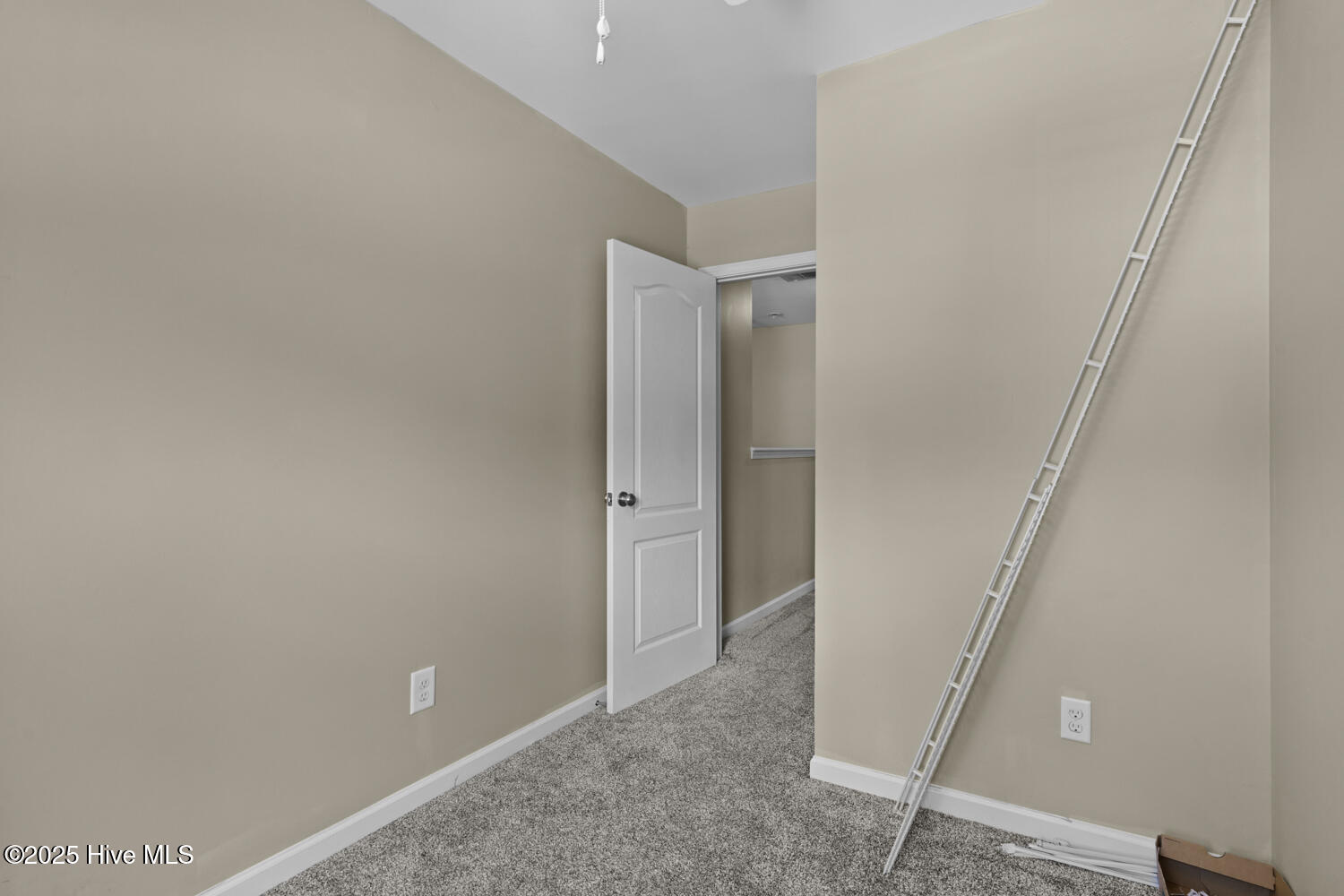 100506336 | Photo 18