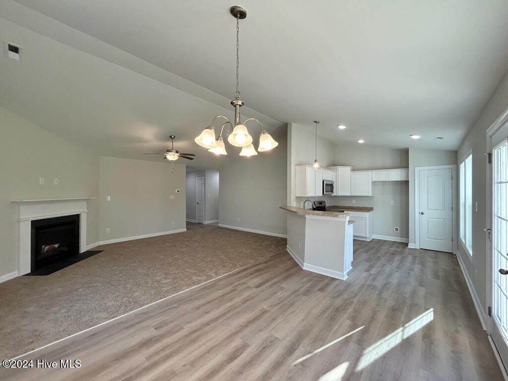 100563391 | Photo 24