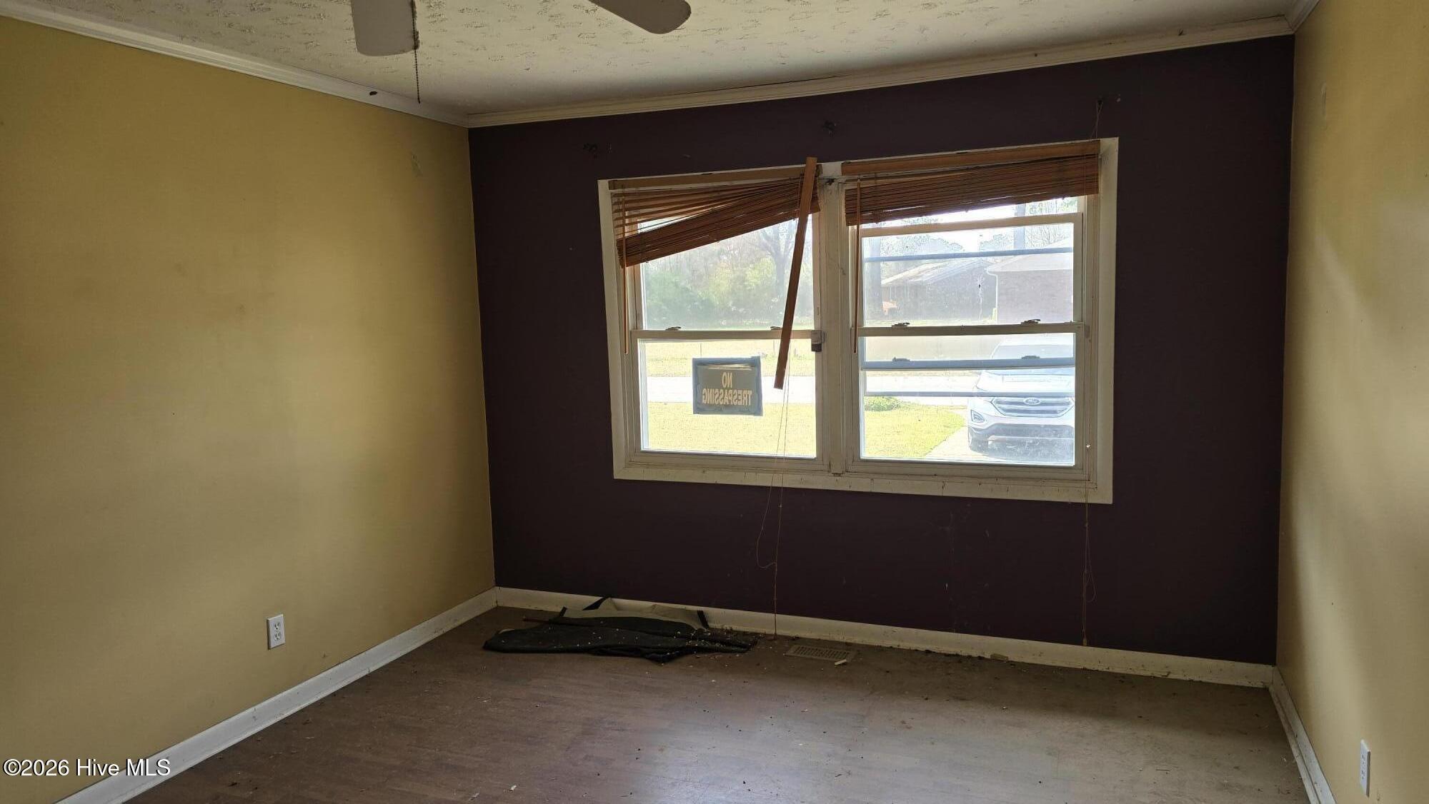 100561564 | Photo 10