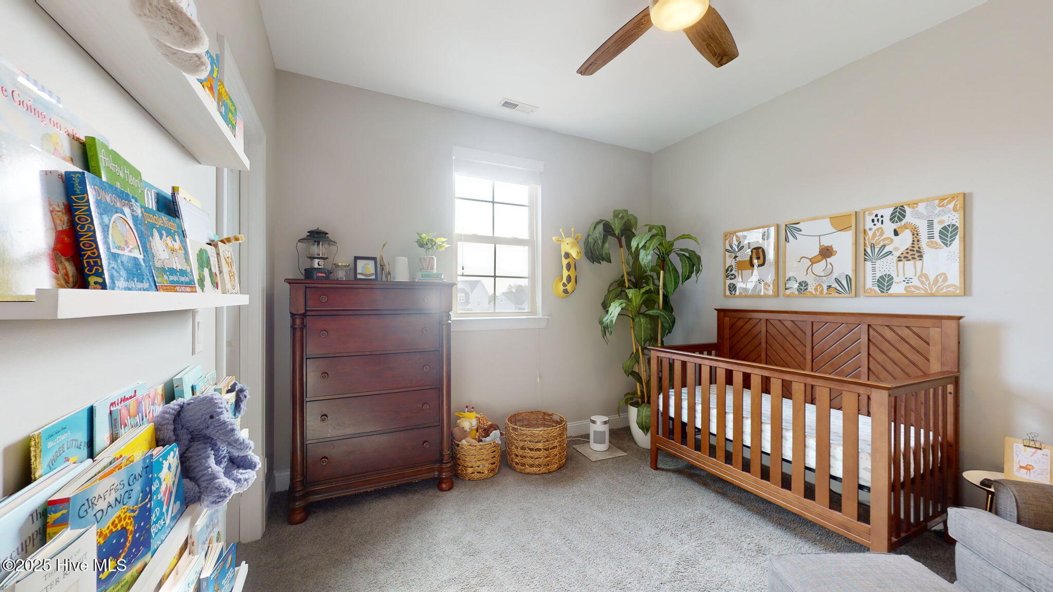 100530169 | Photo 54