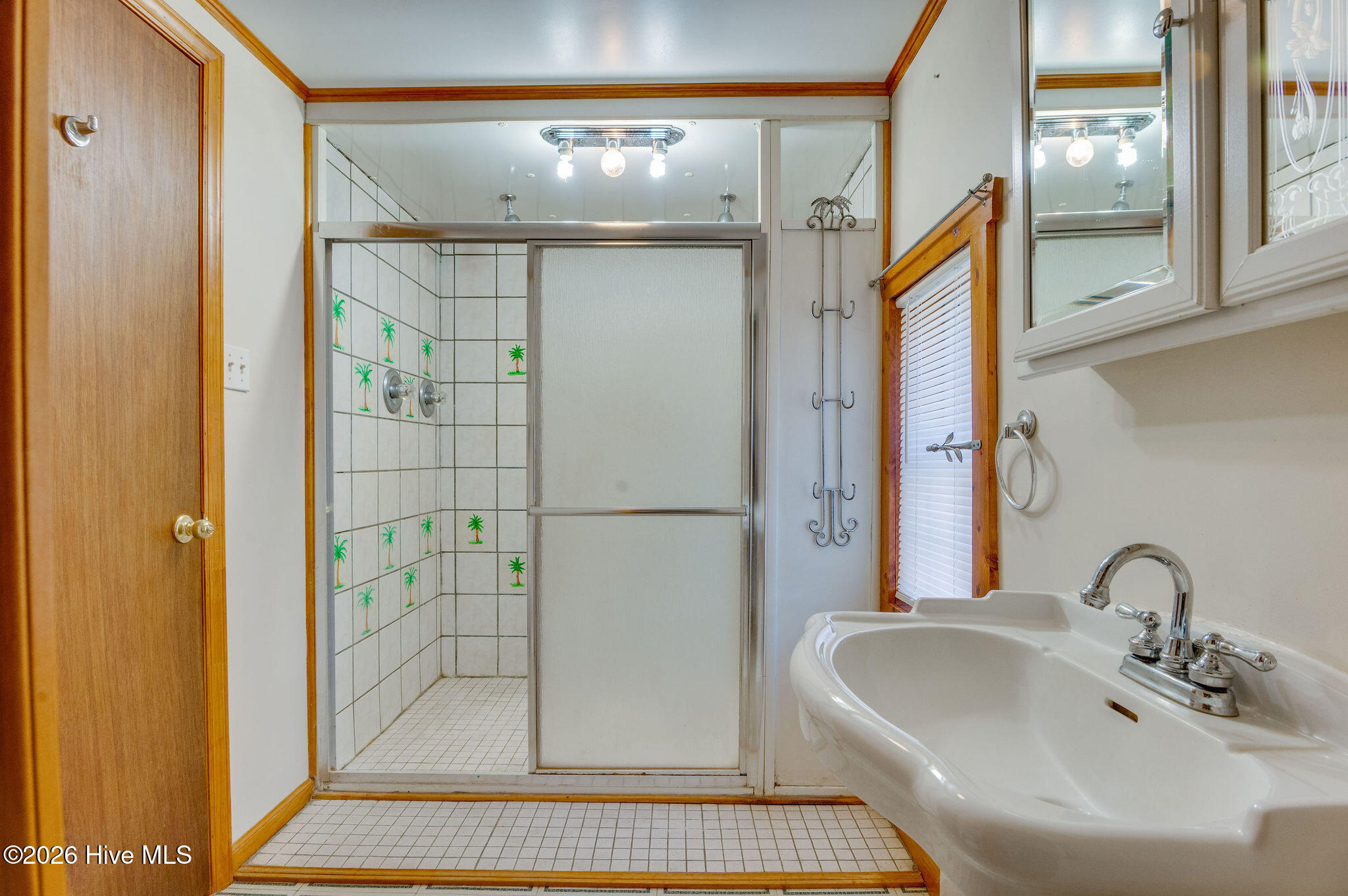 100561889 | Photo 33