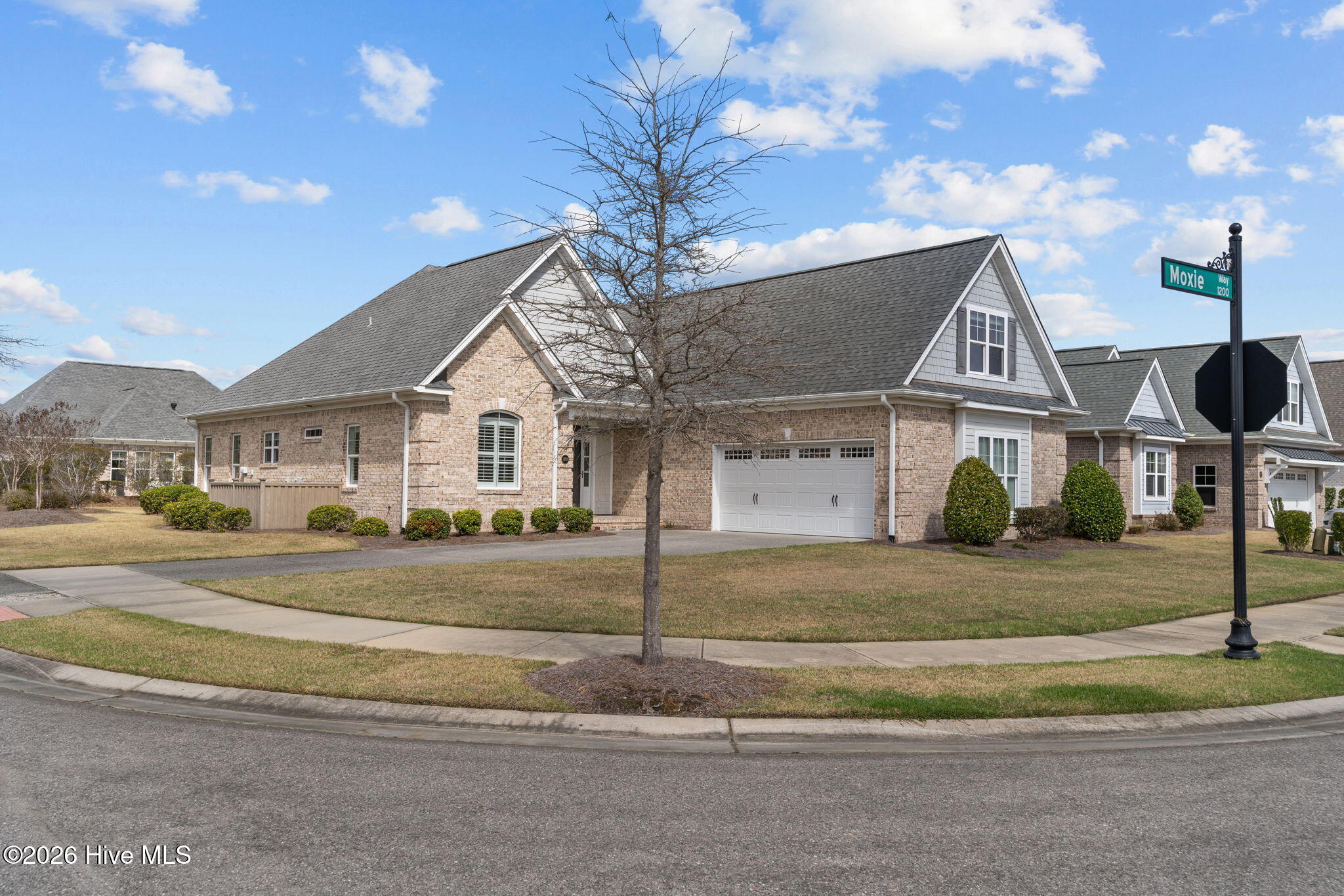 100560533 | Photo 37