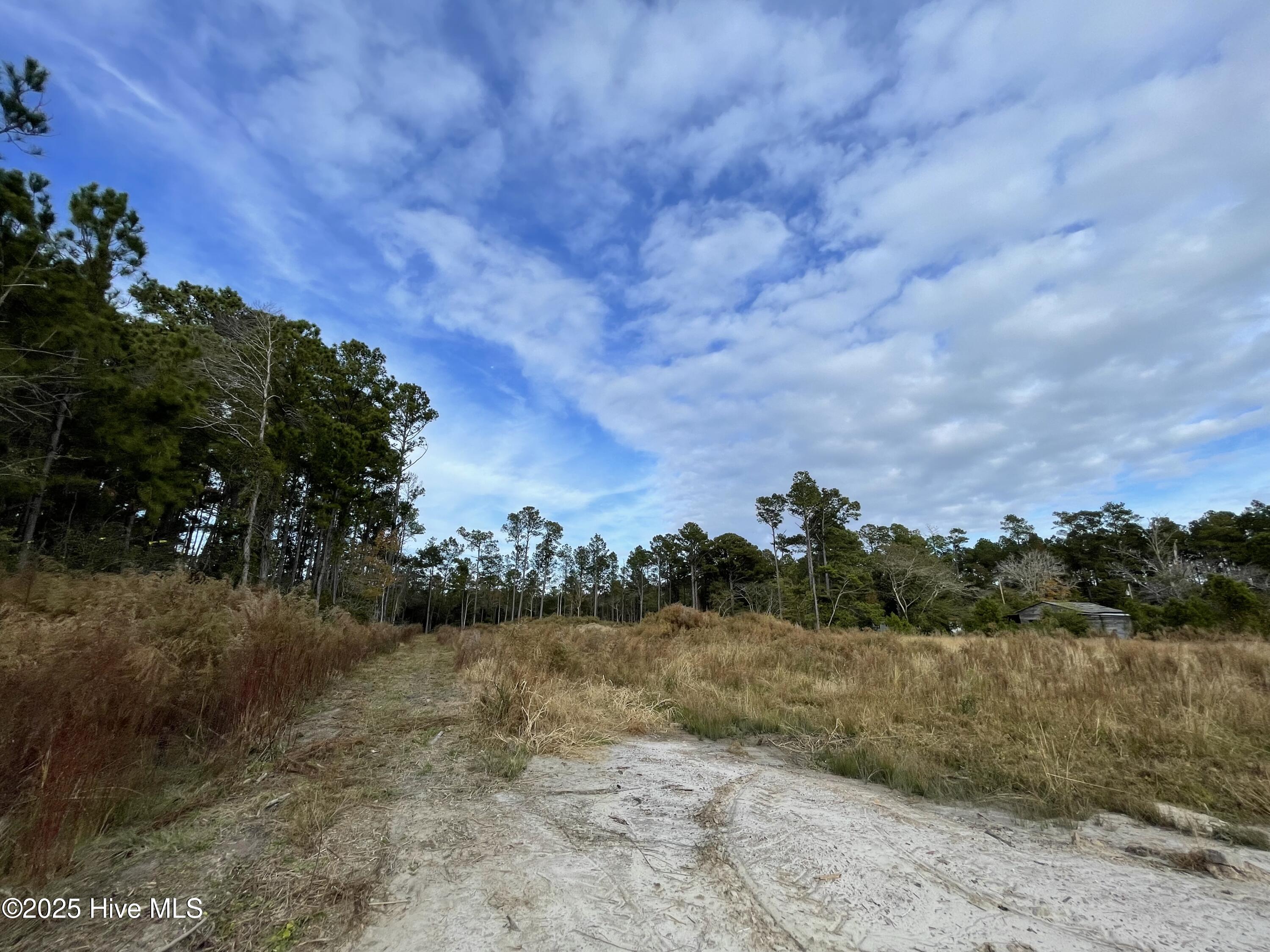 100496584 | Photo 17