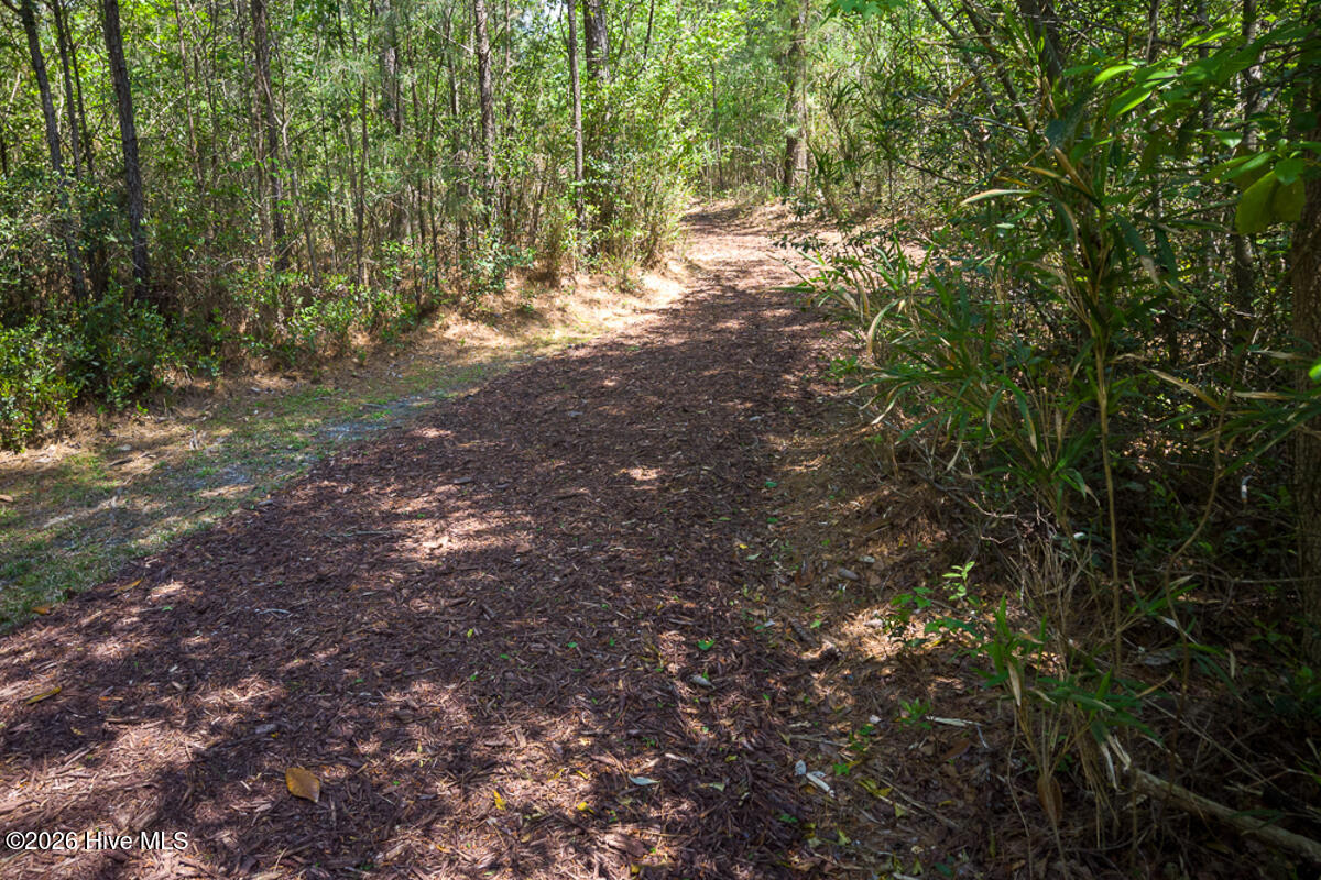 100564727 | Photo 56