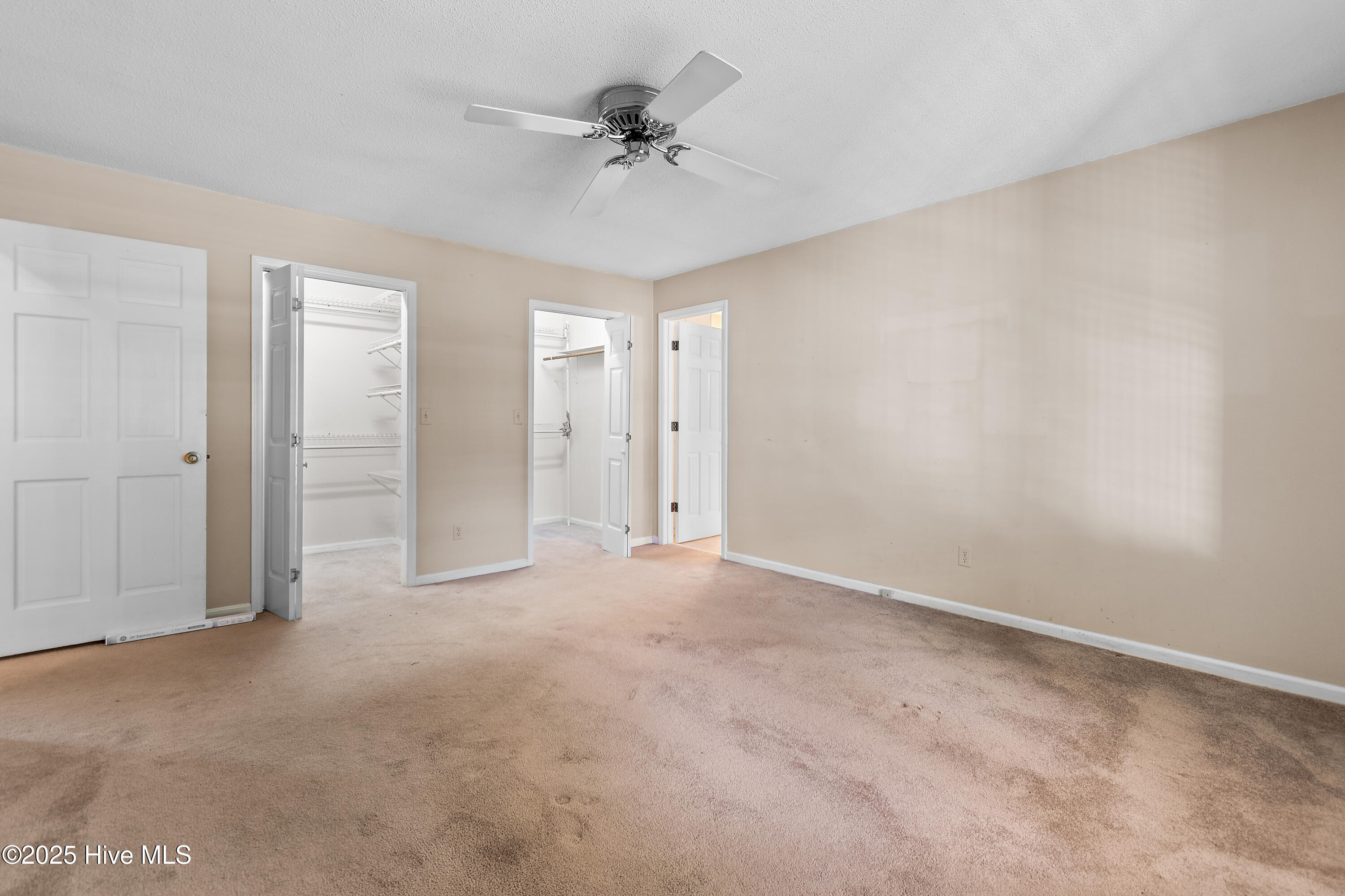 100537451 | Photo 11