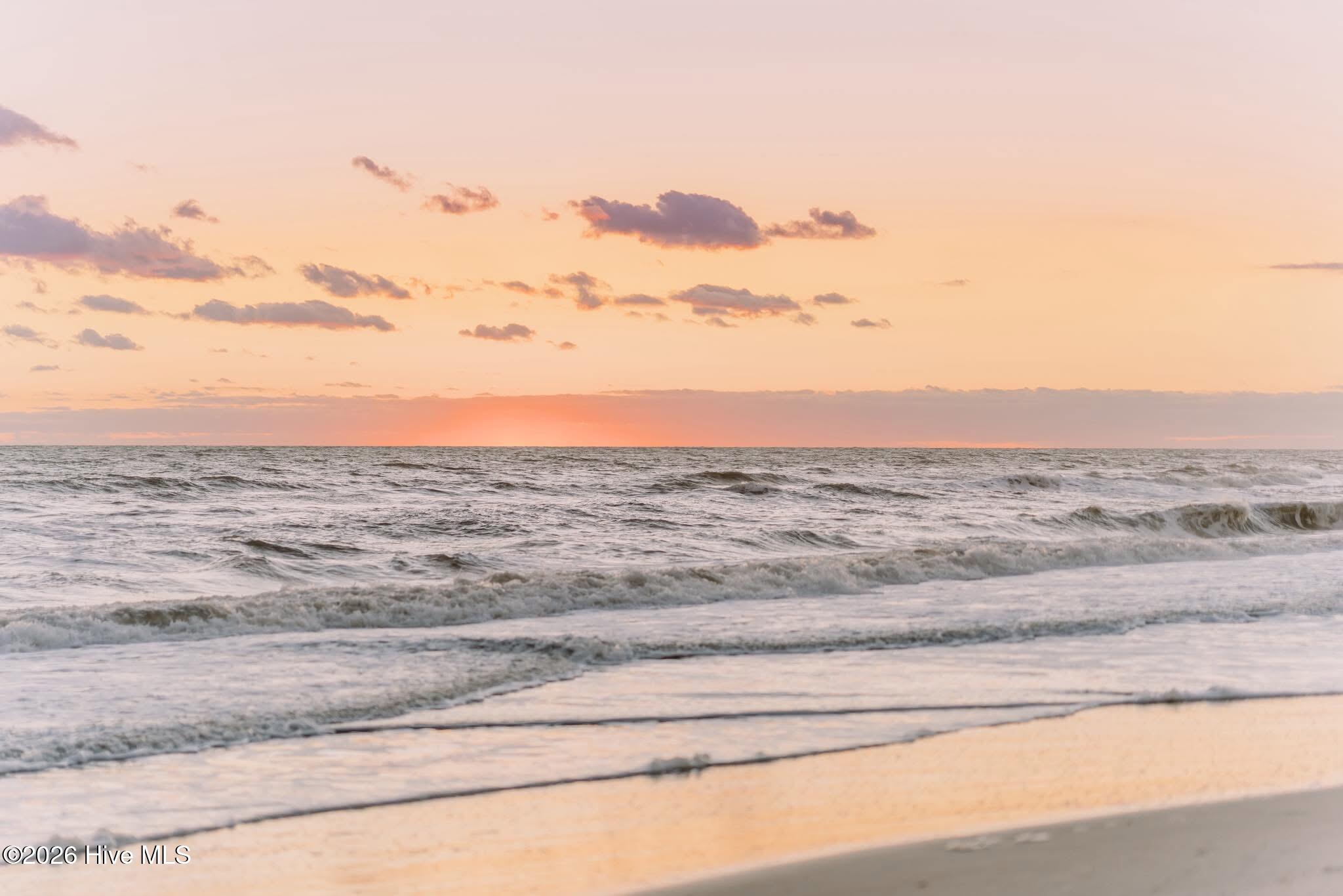 100562646 | Photo 44