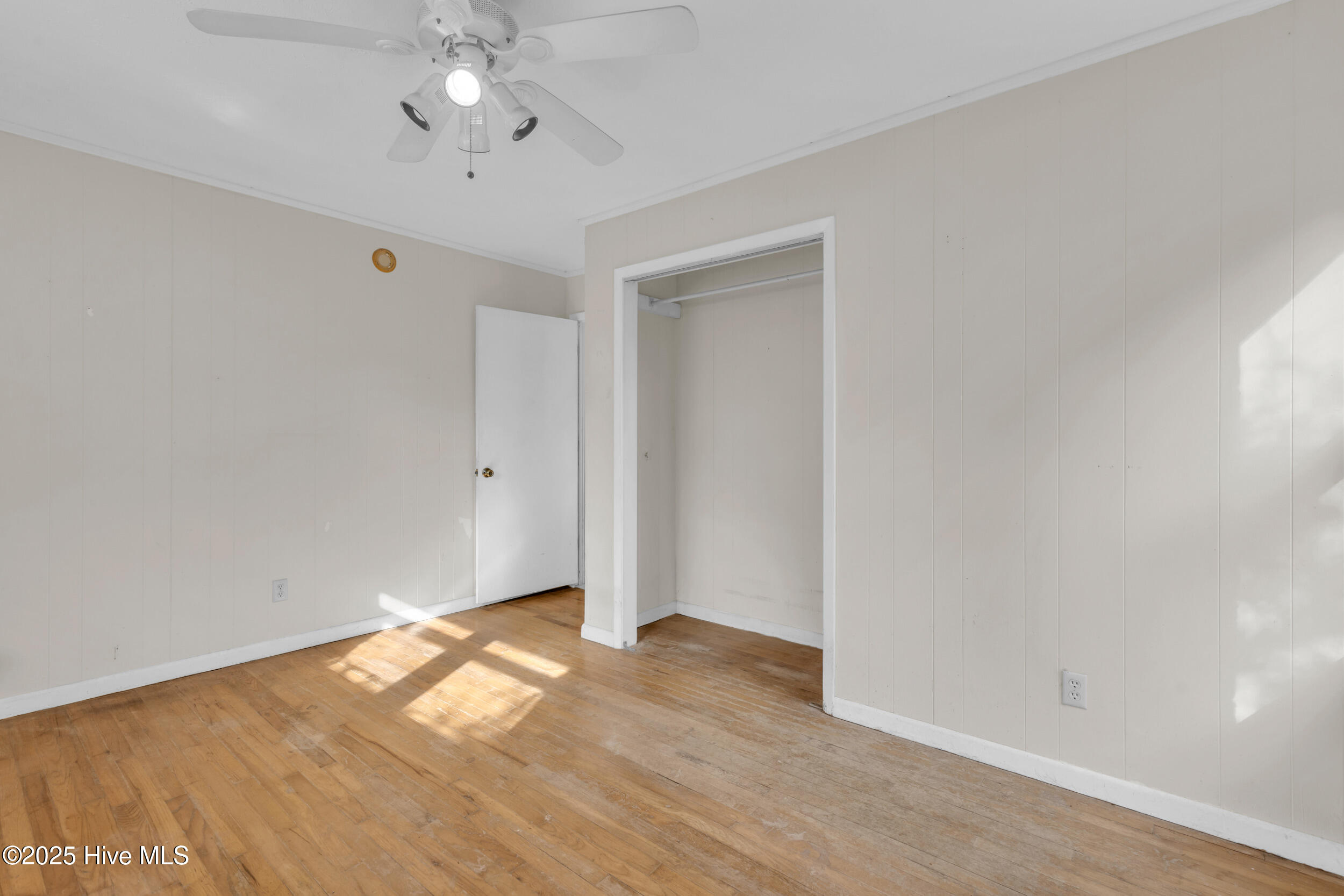 100543256 | Photo 25