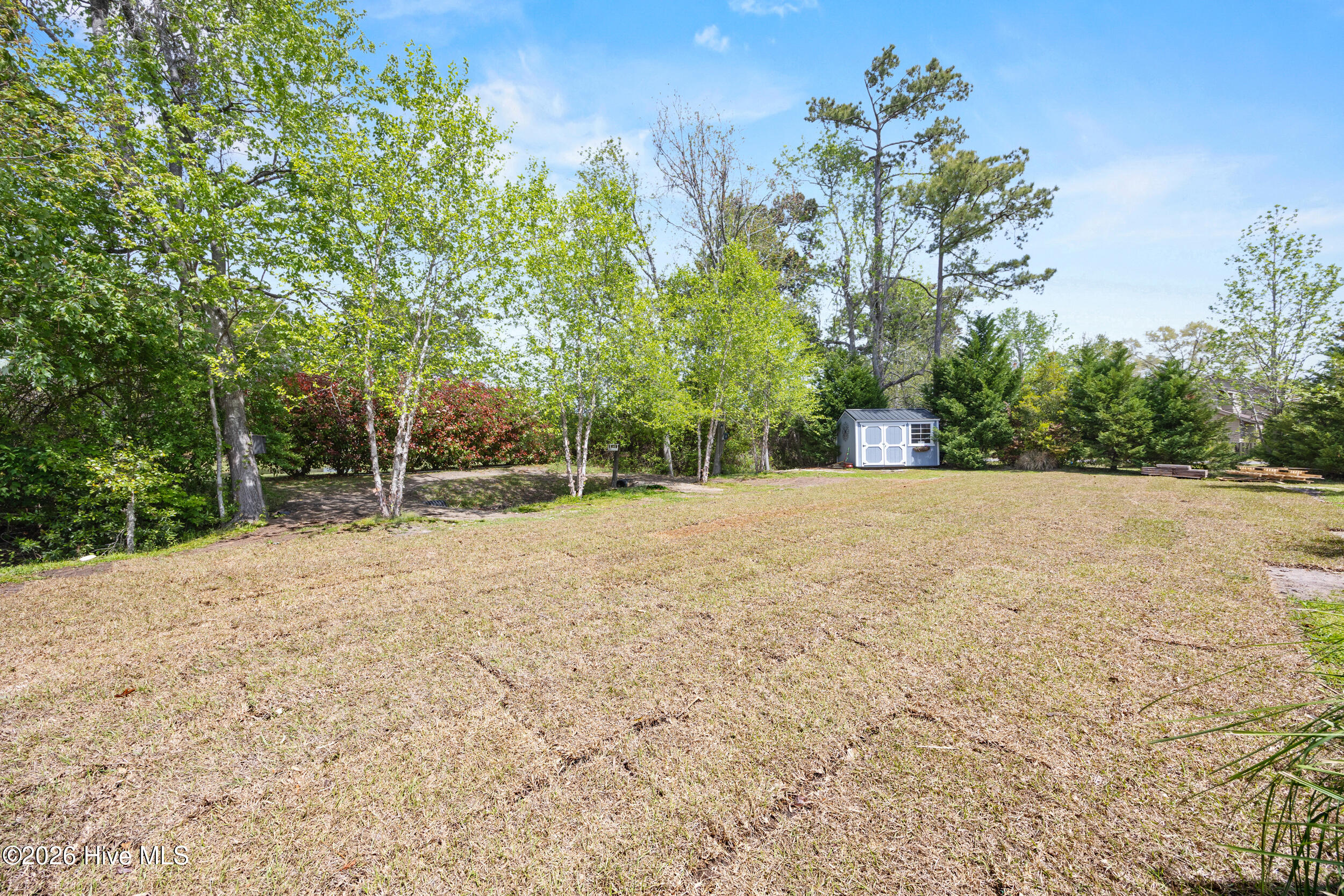 100565893 | Photo 44