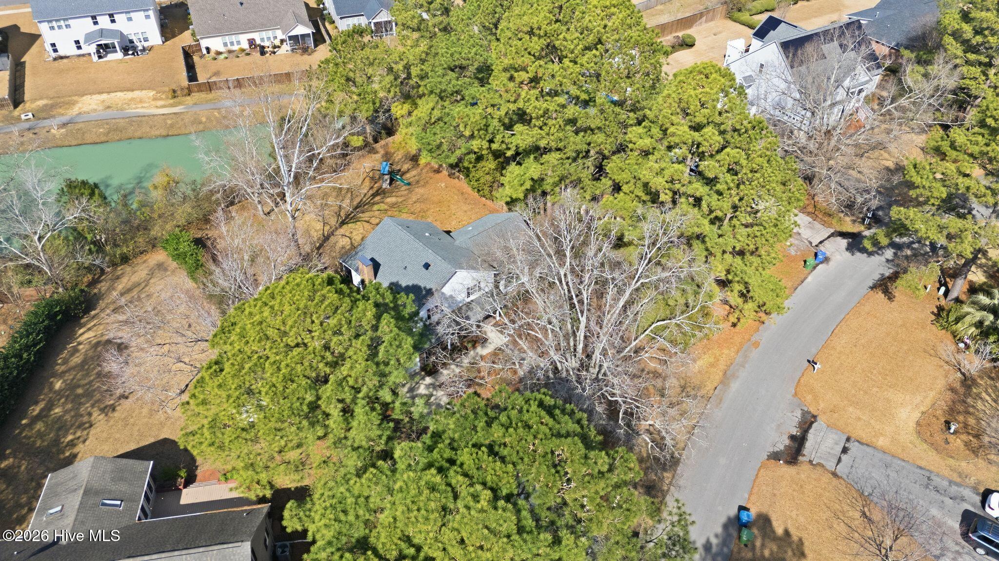 100554538 | Photo 65