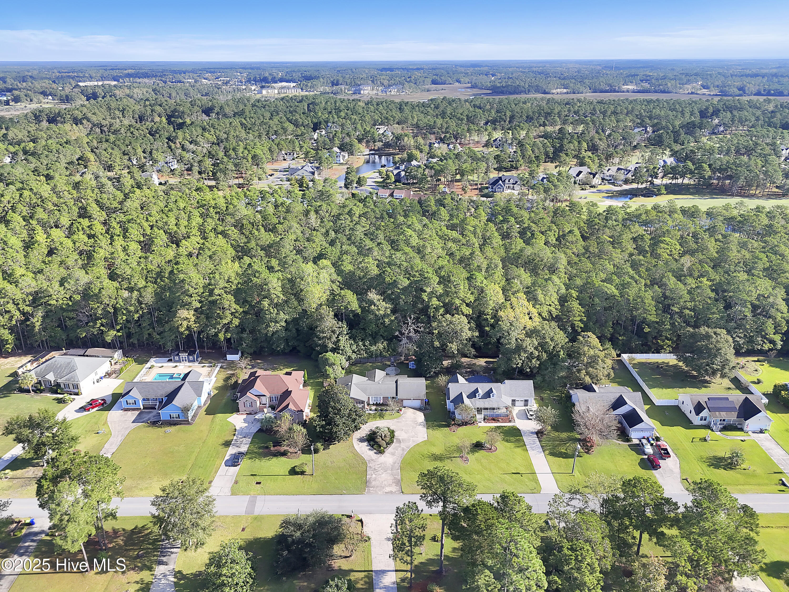 100536846 | Photo 60