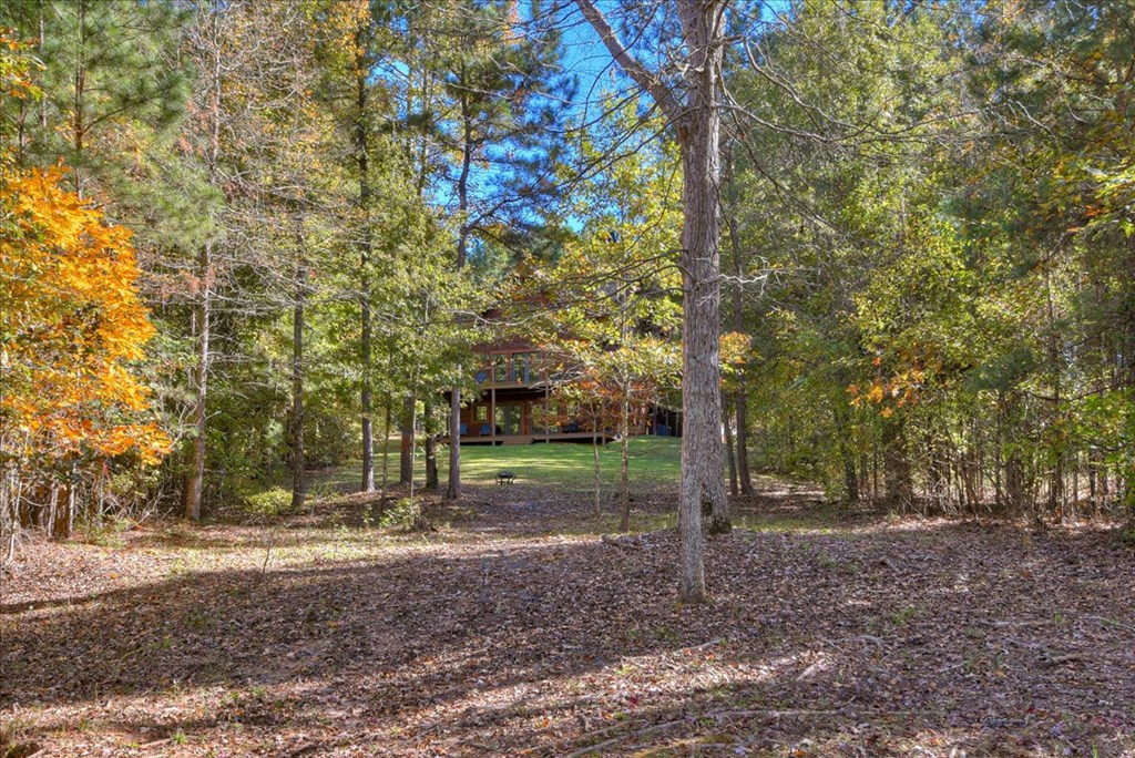 1147 Maiden Cane Way, Lincolnton, GA 30817 Listing Photo  17