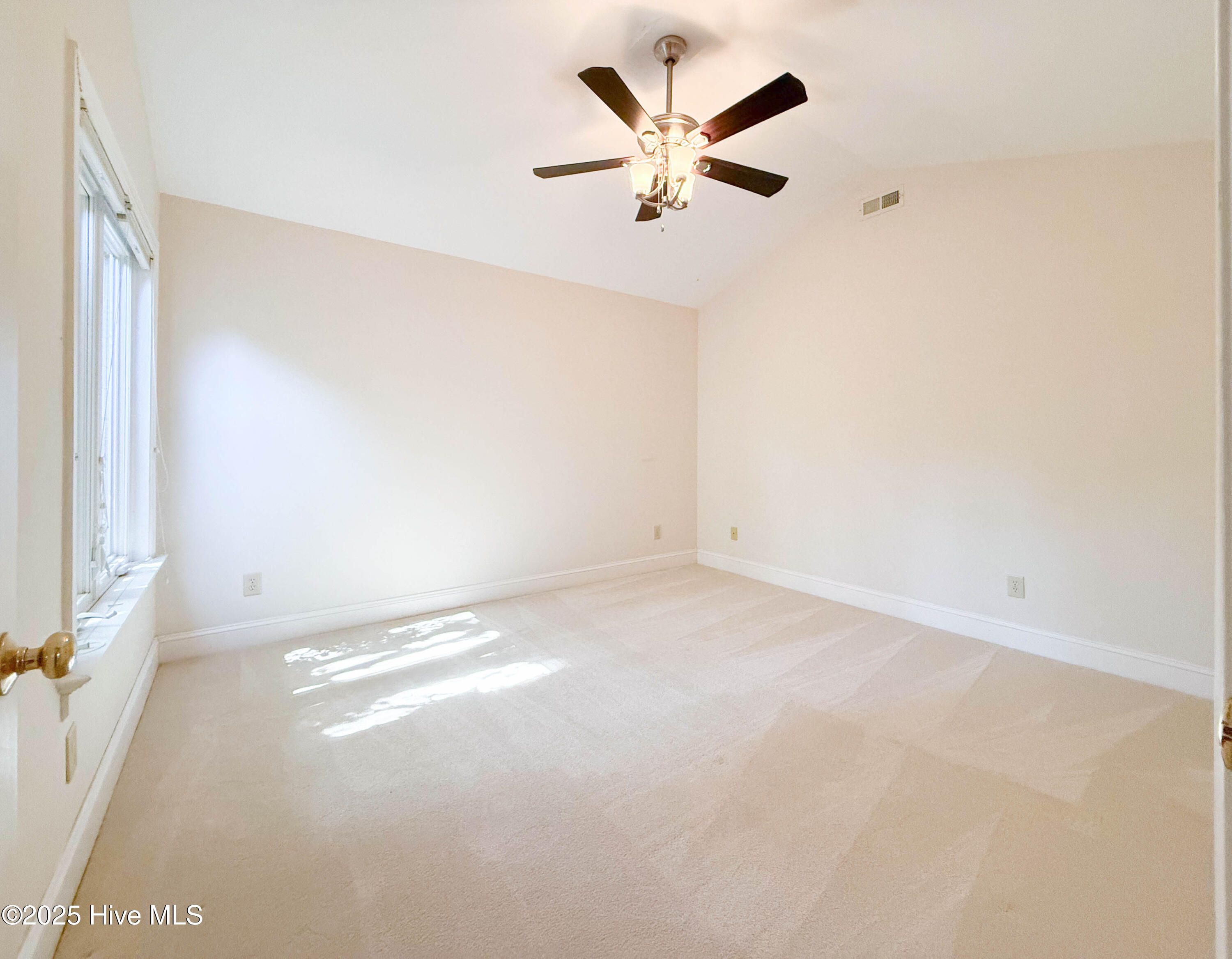 100535071 | Photo 32