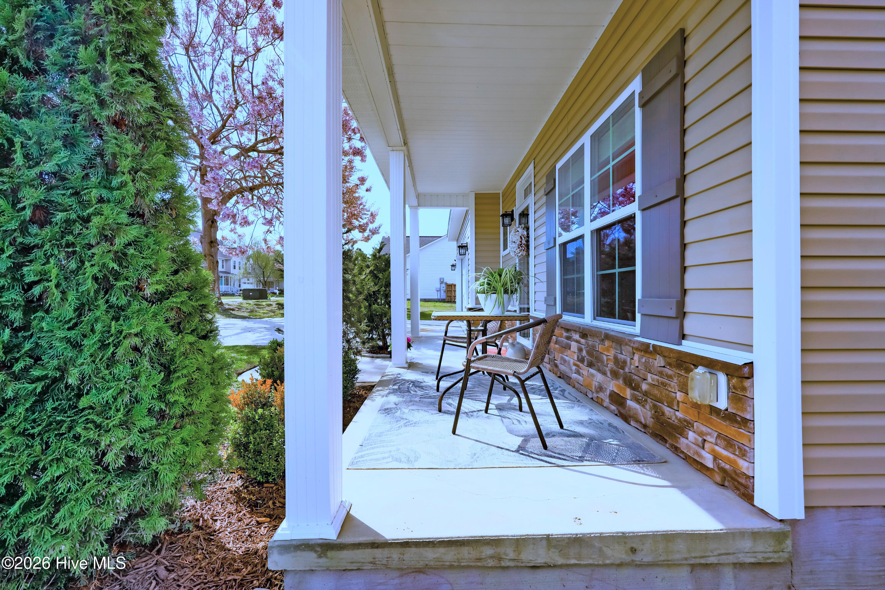 100562922 | Photo 42