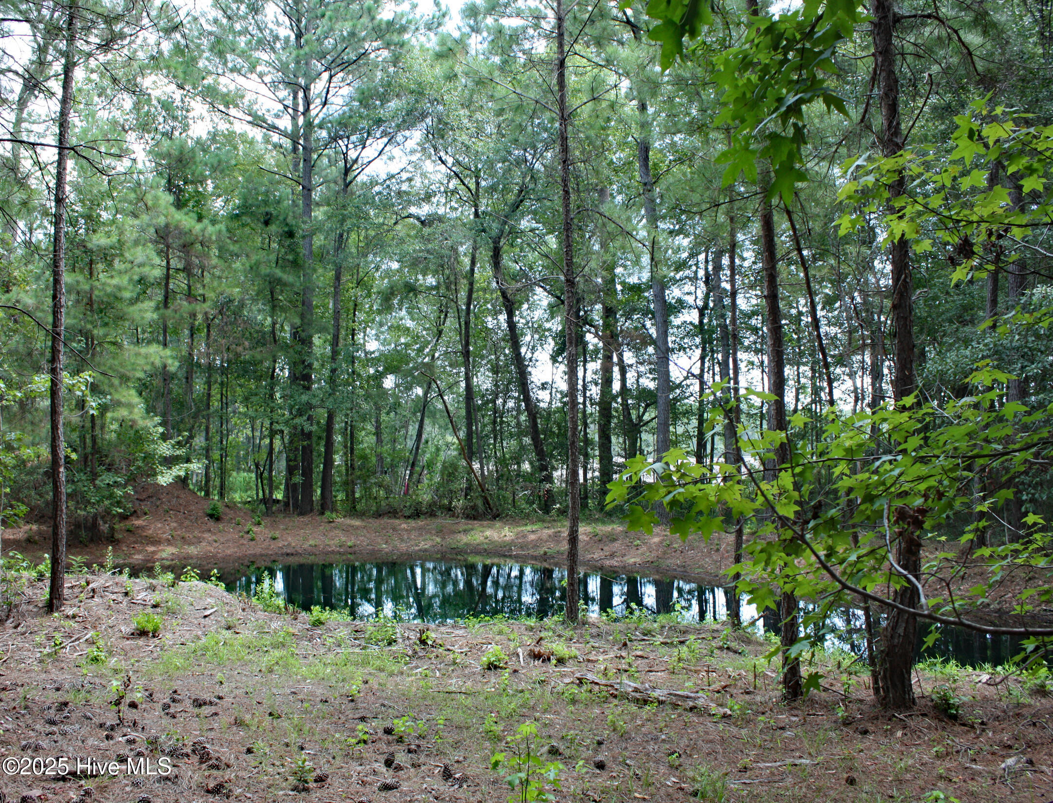 Carolina Barrier Islands