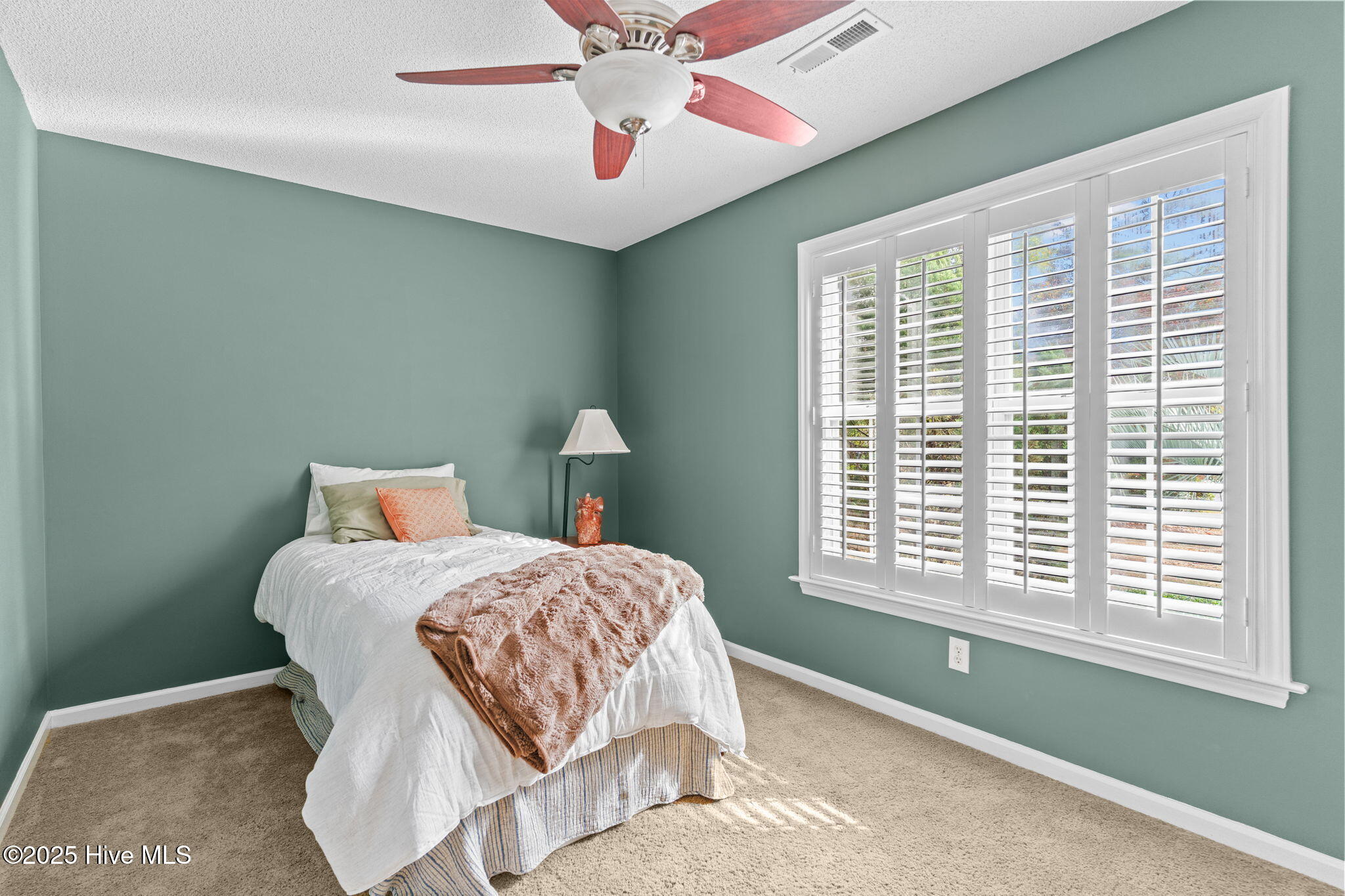 100543111 | Photo 19