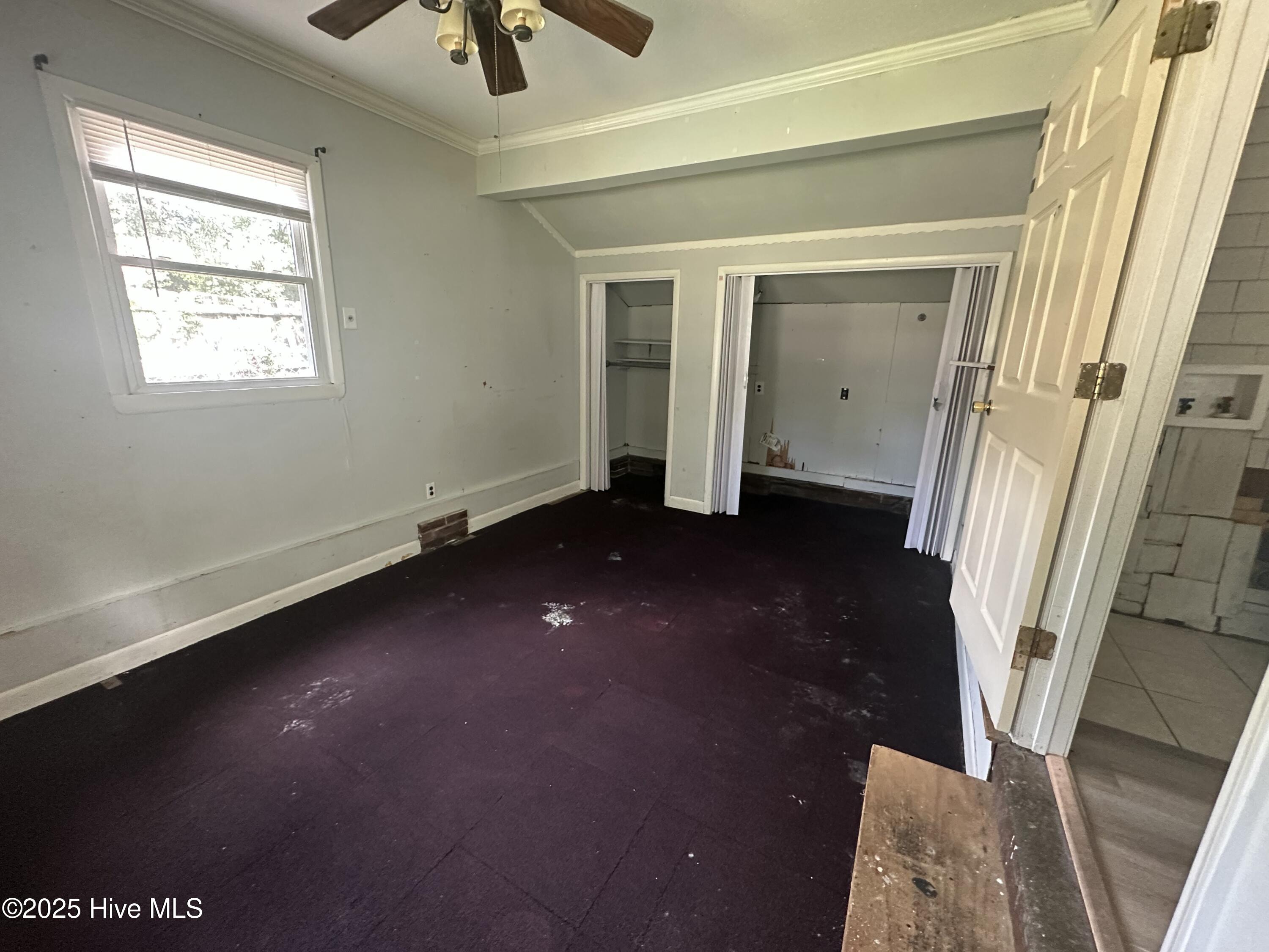 100525931 | Photo 10