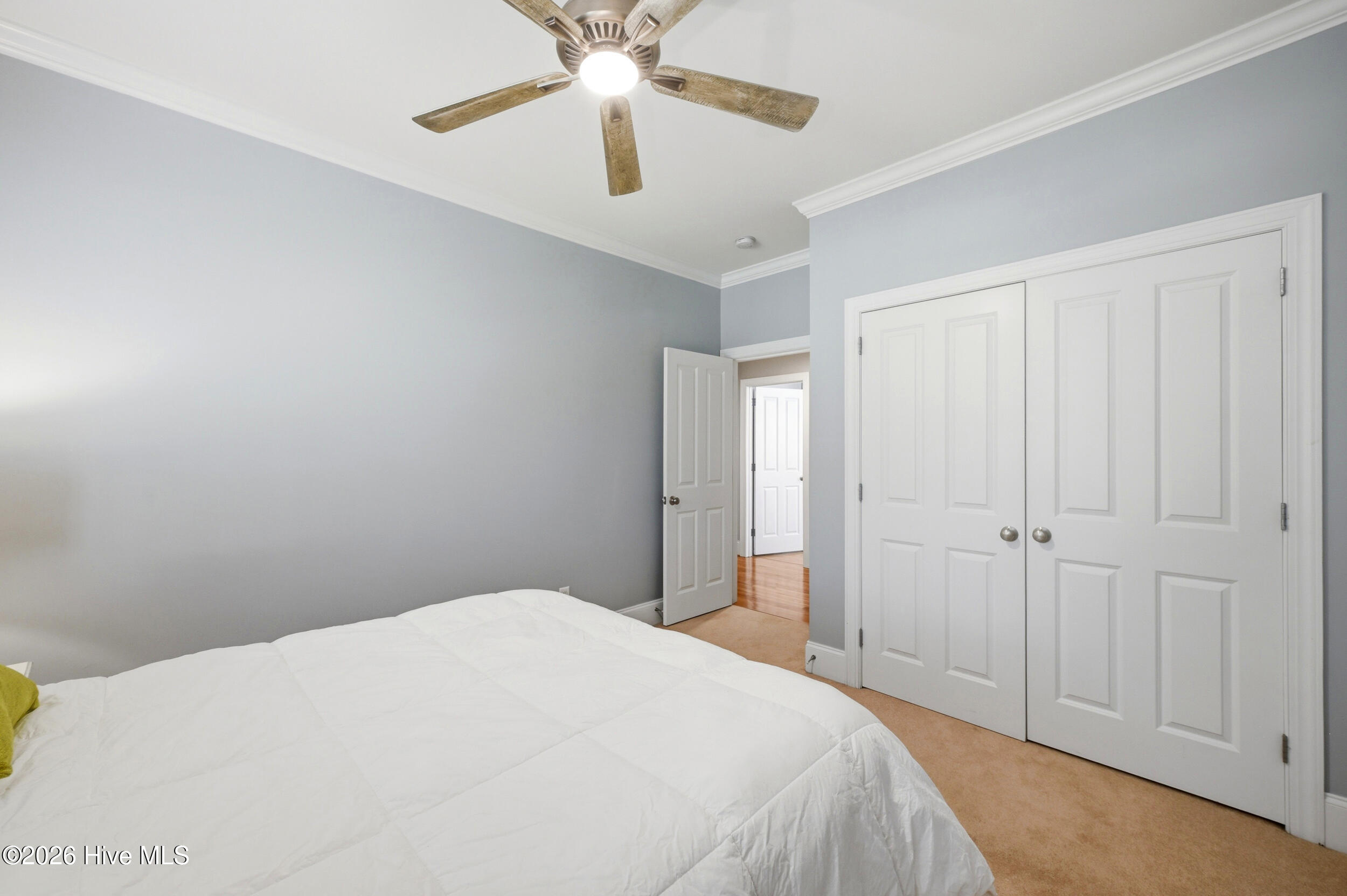 100566106 | Photo 34