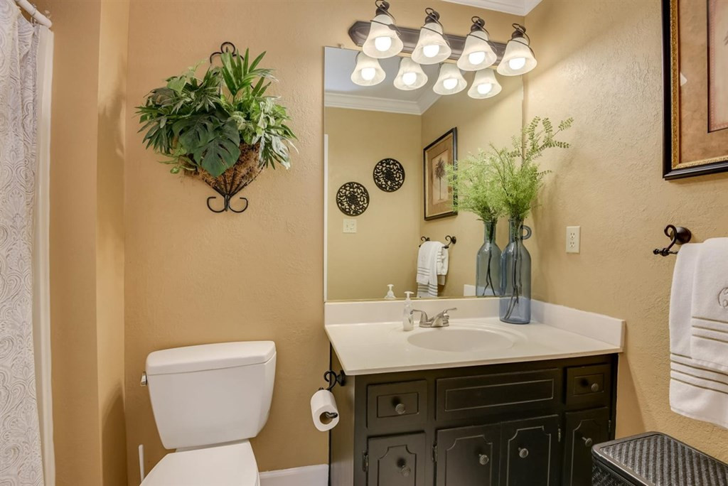 3297 Chamberlain Ferry Road, Lincolnton, GA 30817 Listing Photo  41