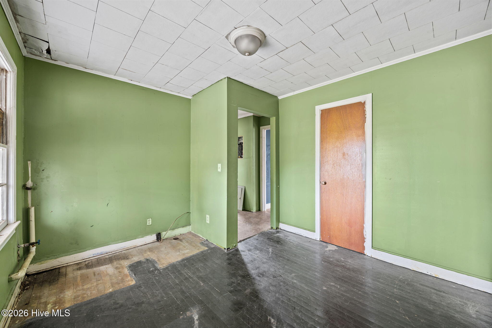 100565134 | Photo 31