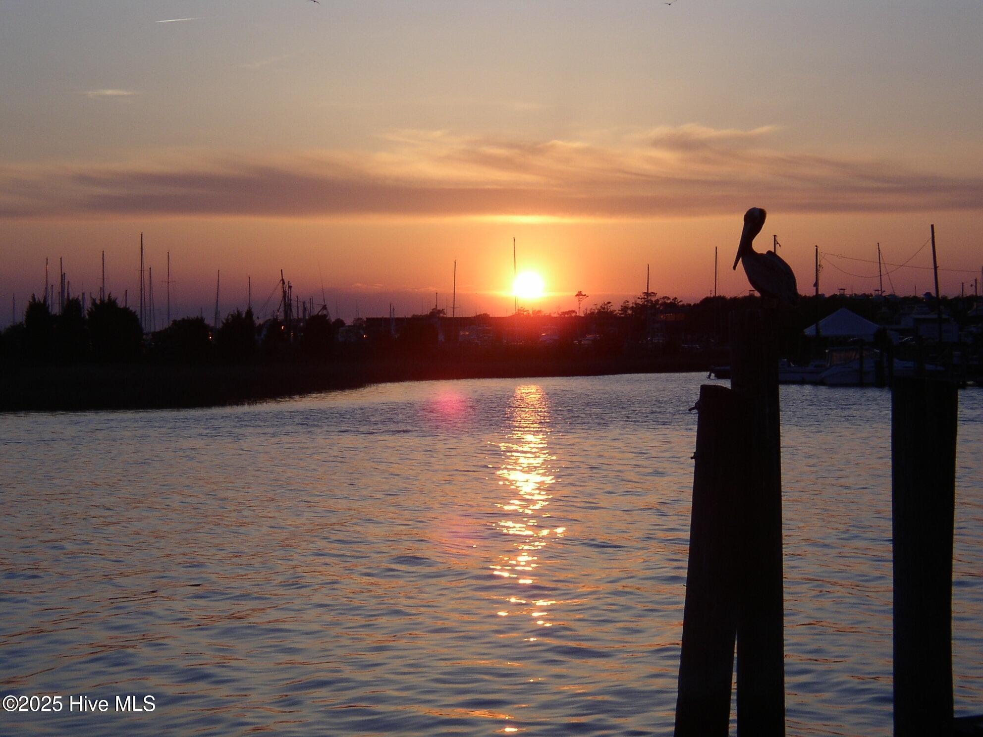 100520444 | Photo 87