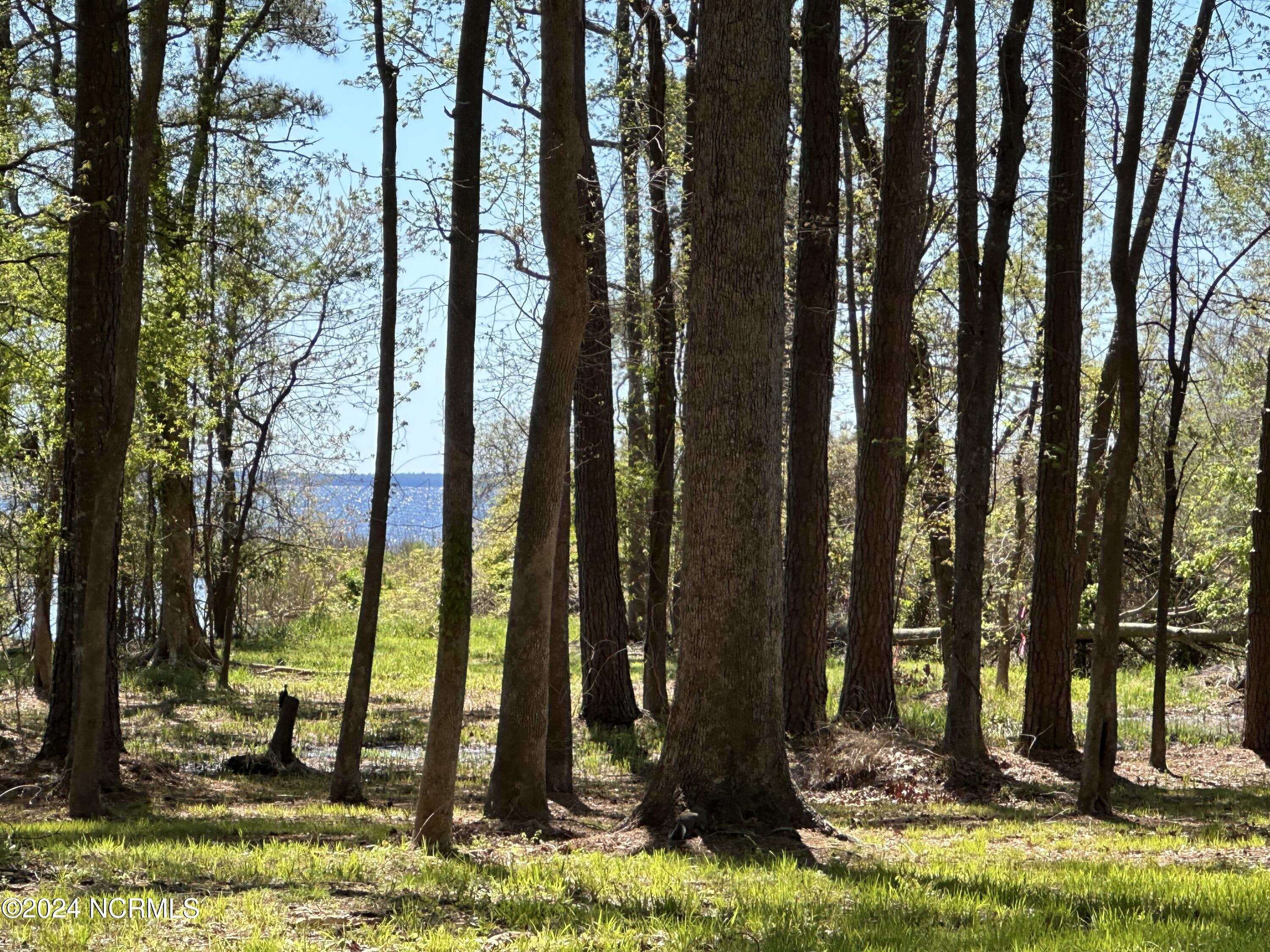 115 Waterford, Bath, North Carolina, 0 ,Residential land,For sale,Waterford,100436316