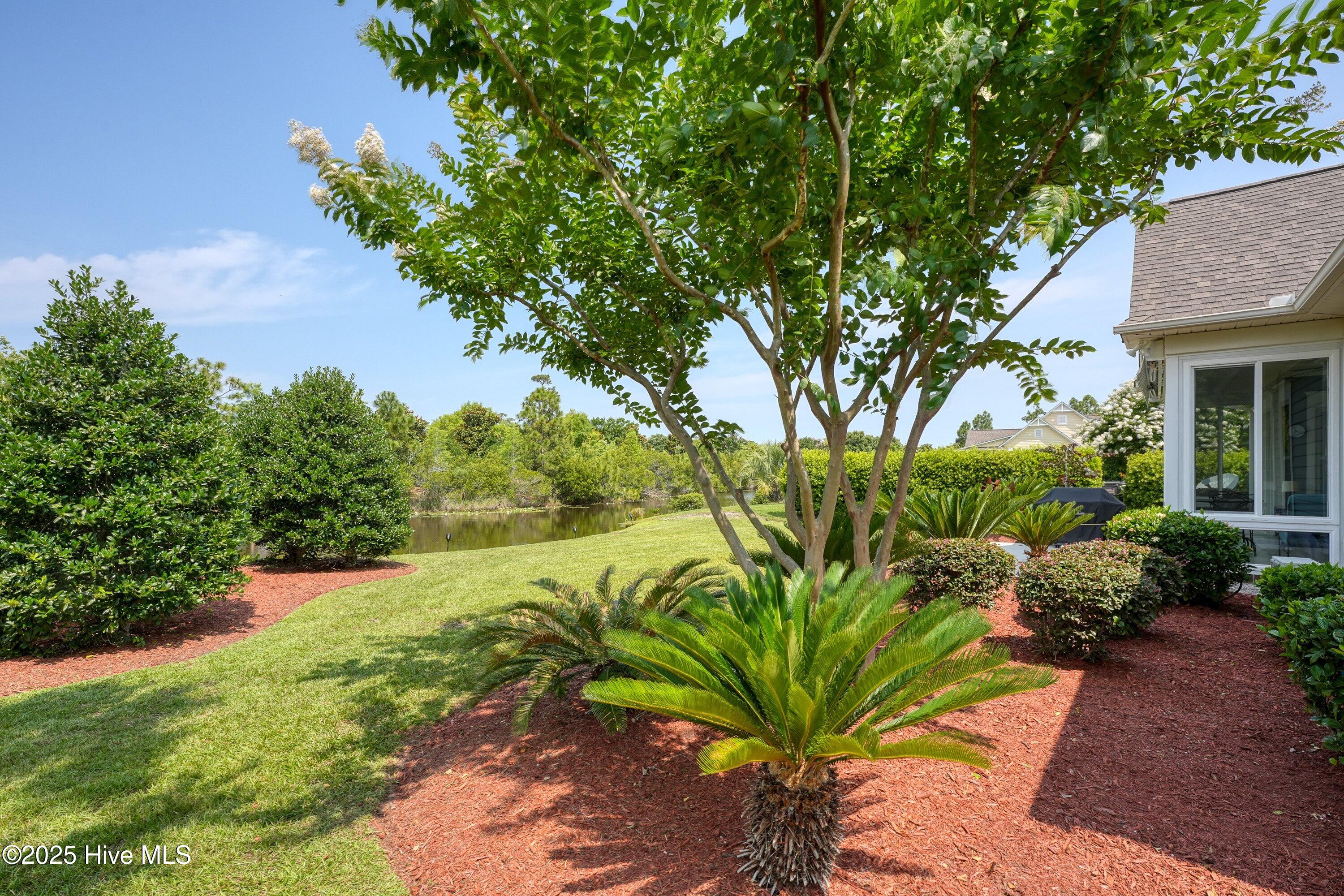 100553143 | Photo 34