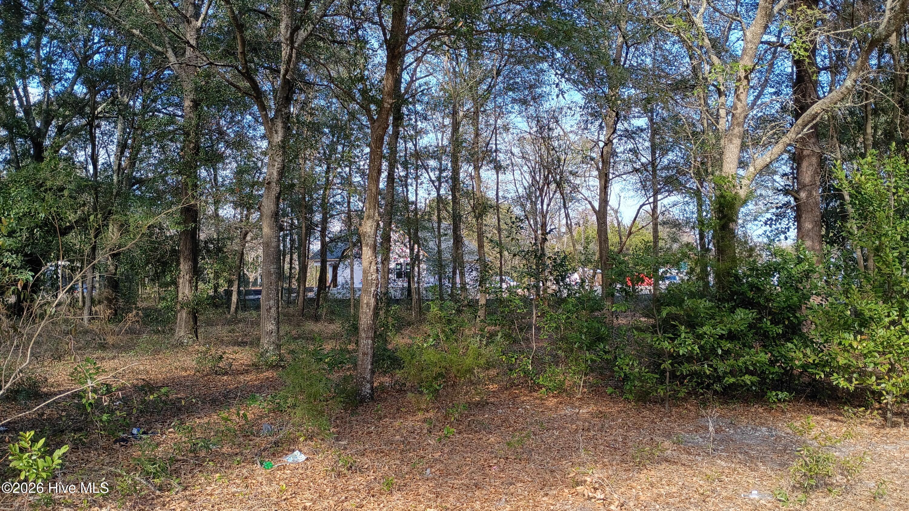 Homes for sale in Wilmington, NC | 217 Clinton St, Wilmington, NC 28401 | MLS# 100551404