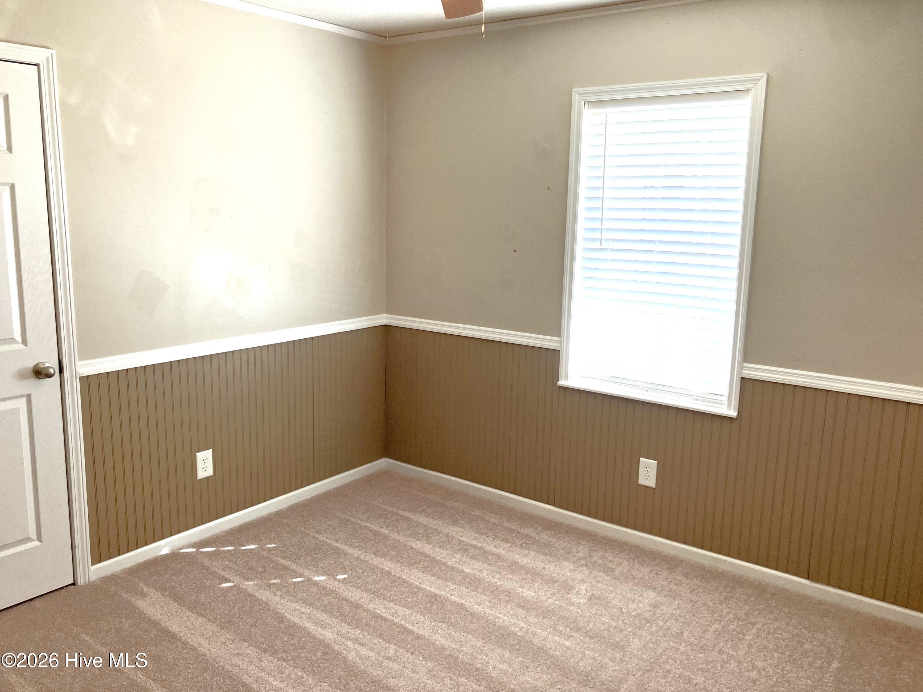 100555238 | Photo 20