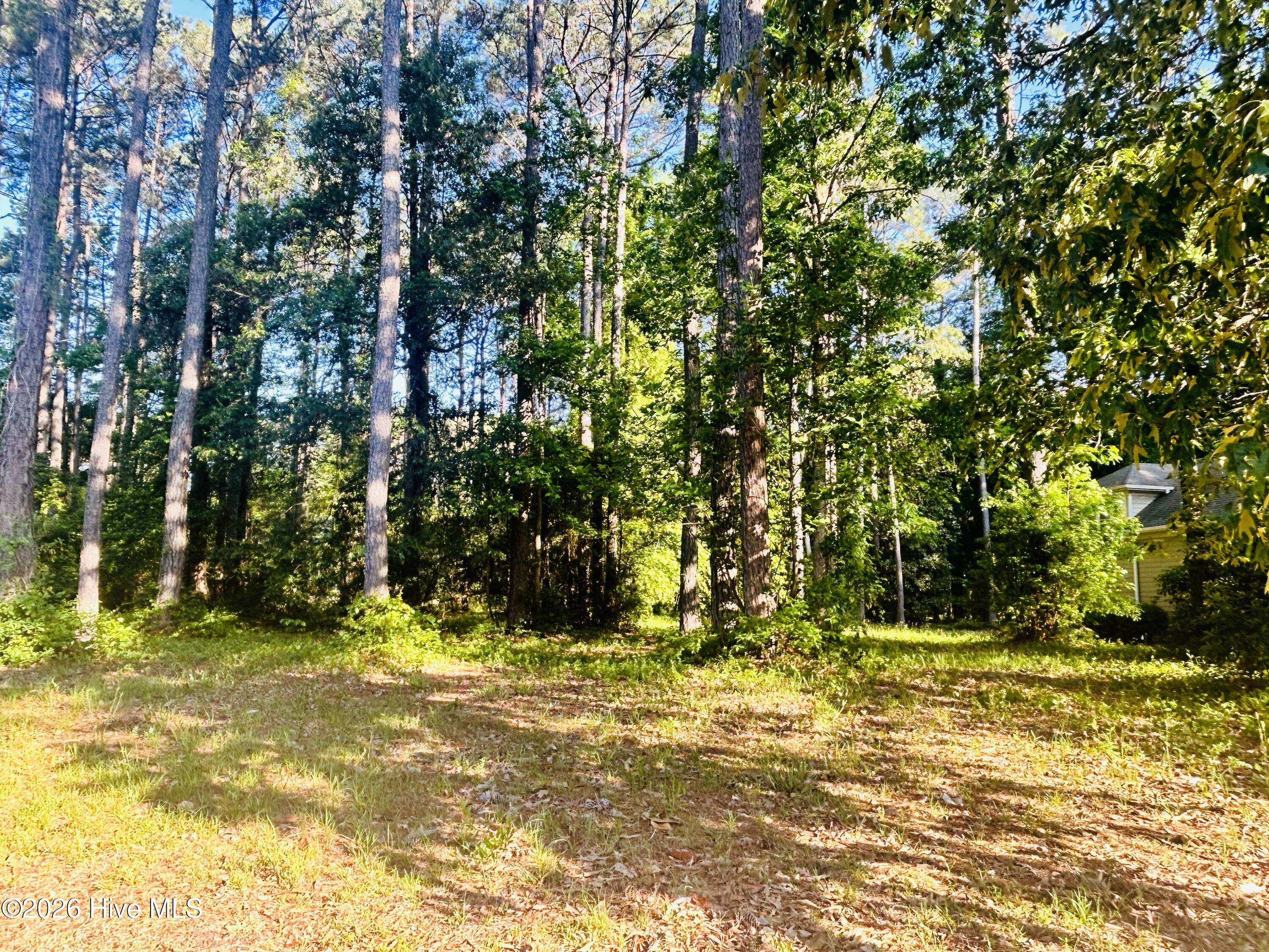 116 402 Magnolia Bay Lane image