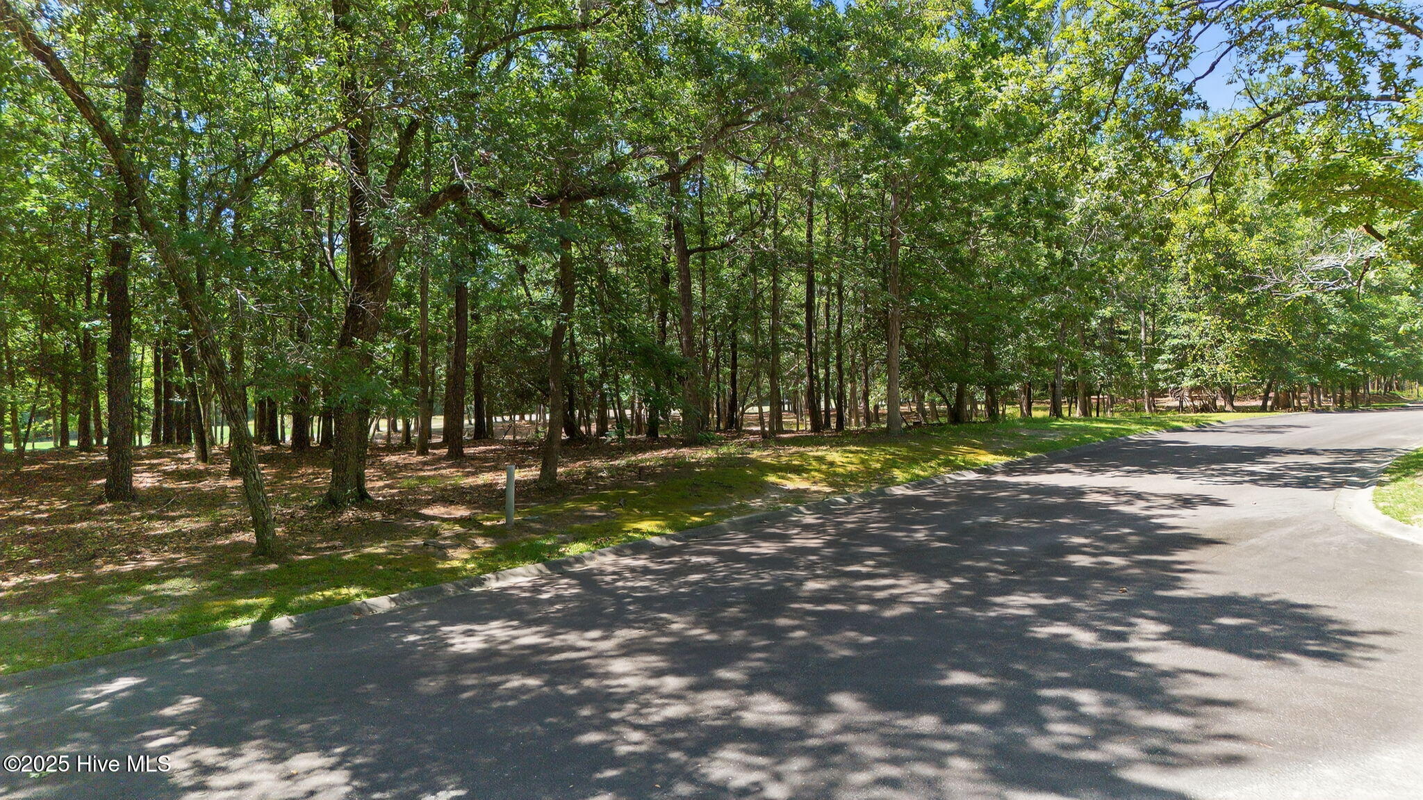 100519533 | Photo 19