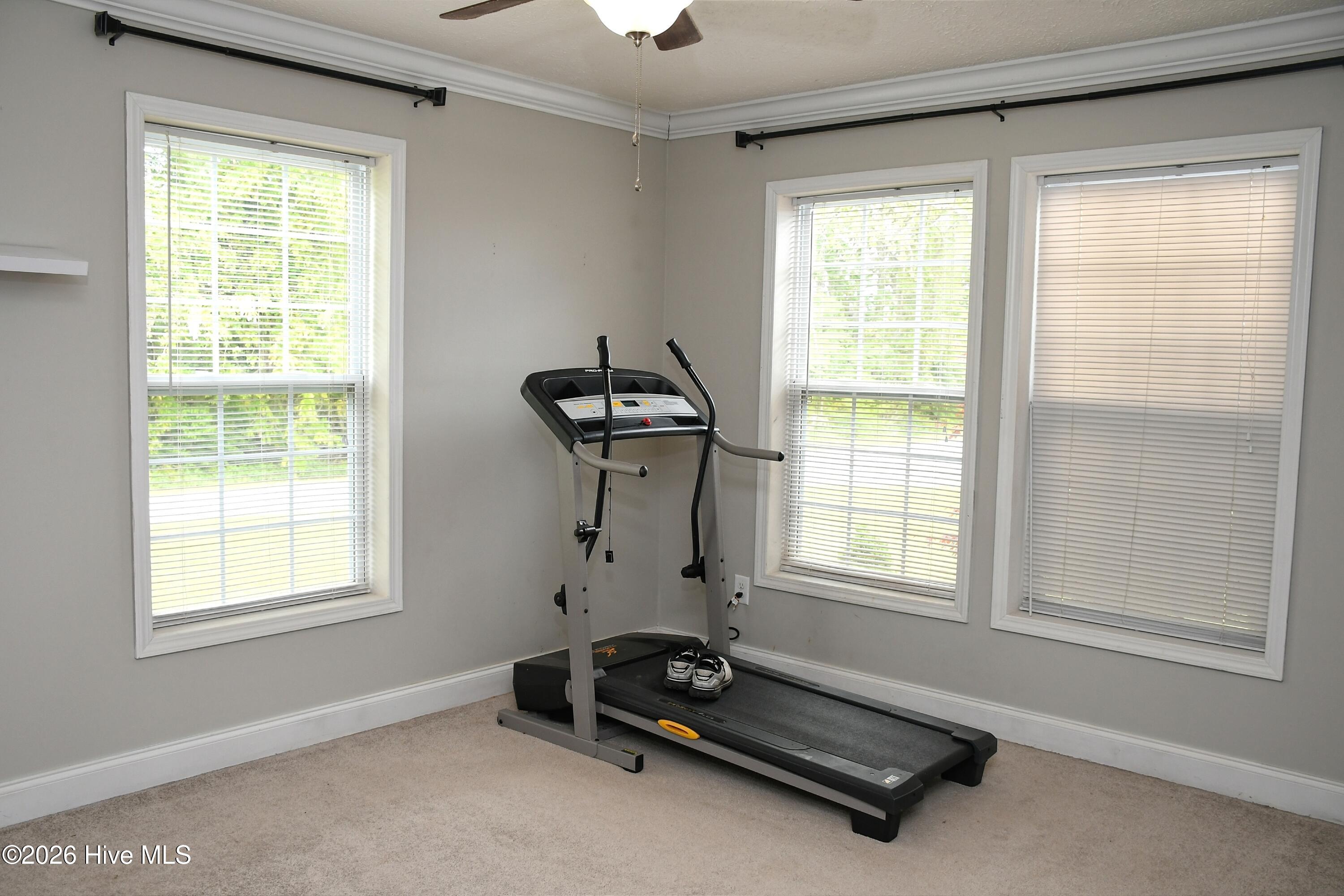 100565846 | Photo 21