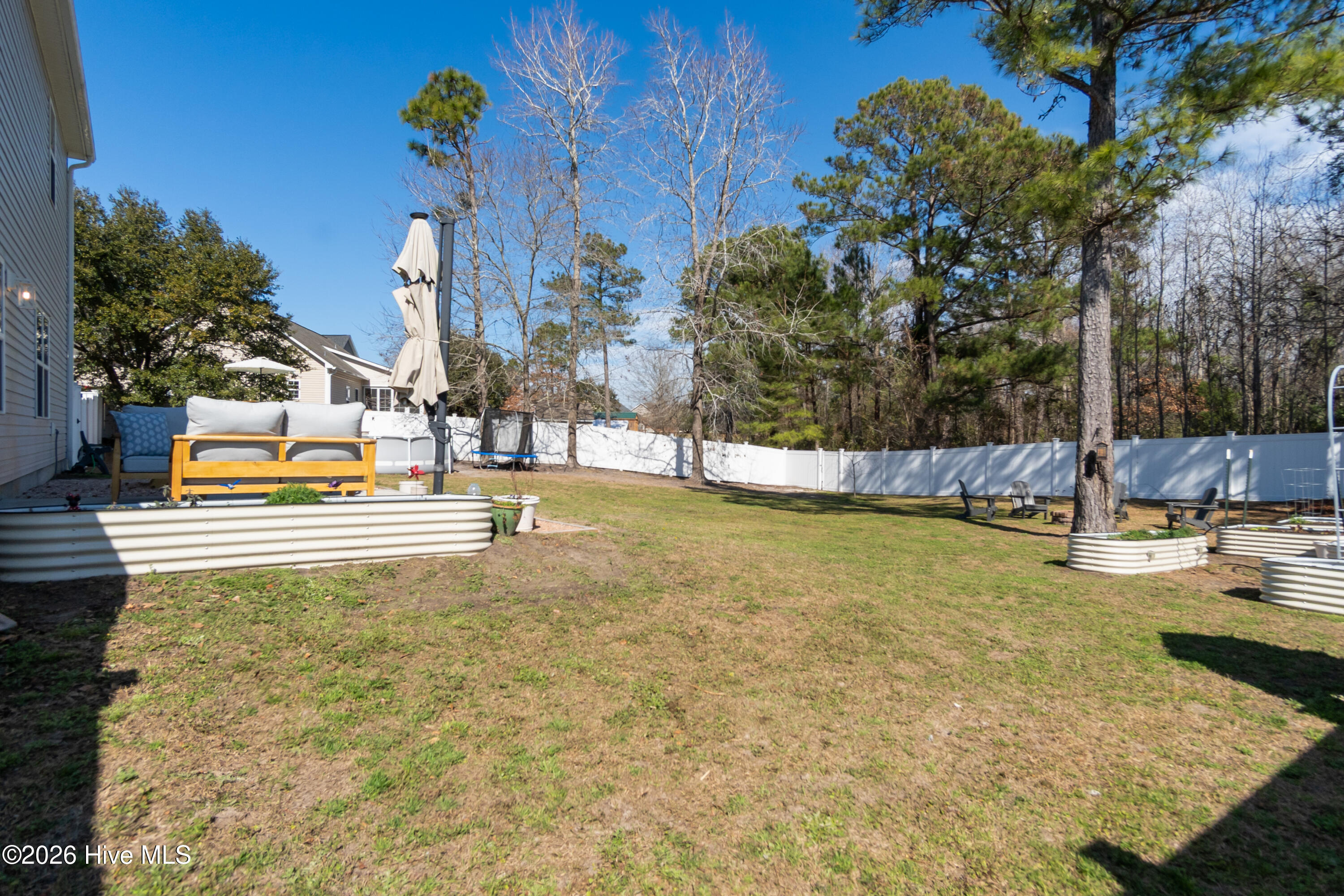 100558497 | Photo 50