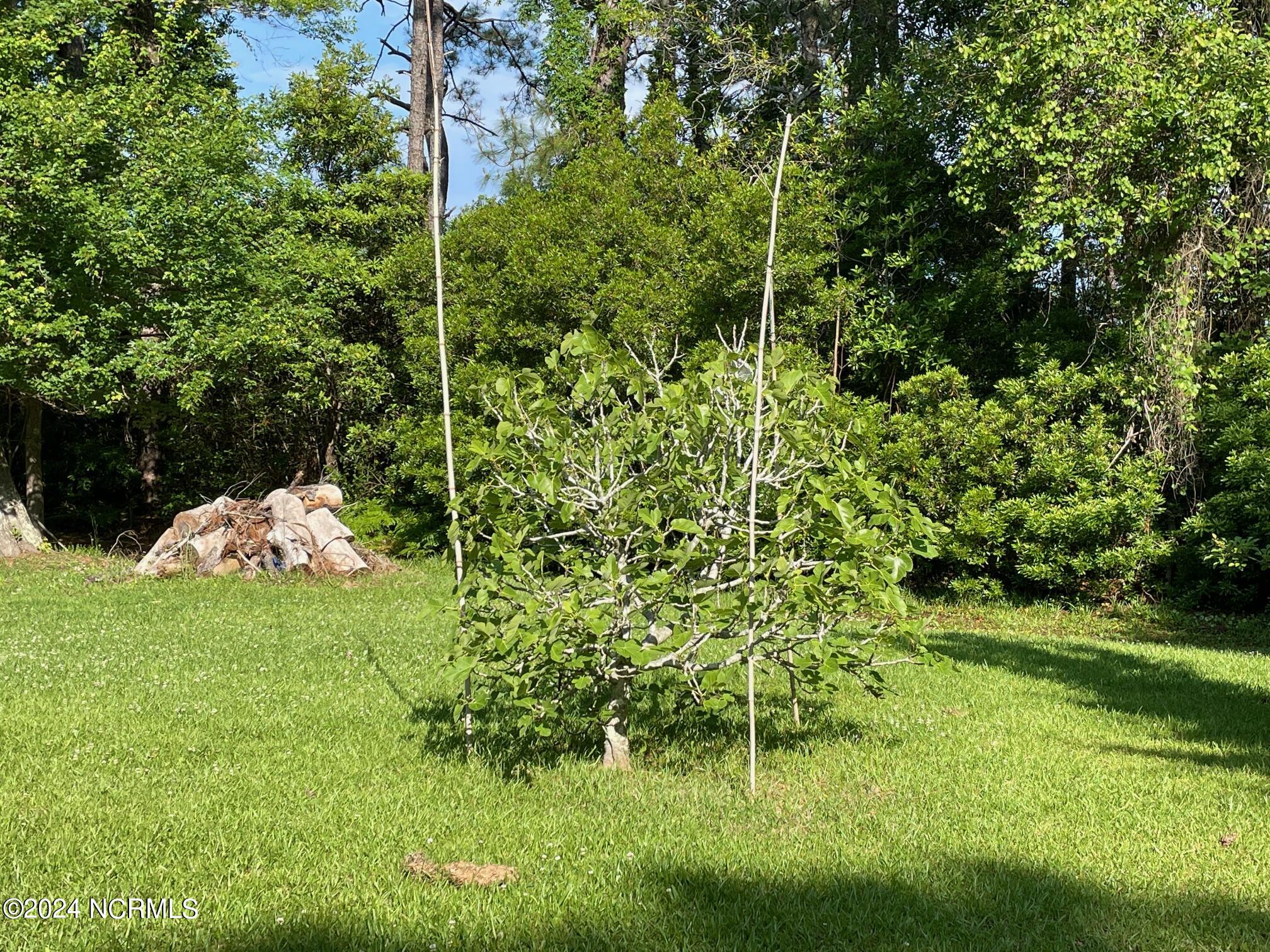 Homes for sale in Cedar Island, NC | 152 W Bayshore Dr, Cedar Island, NC 28520 | MLS# 100442888