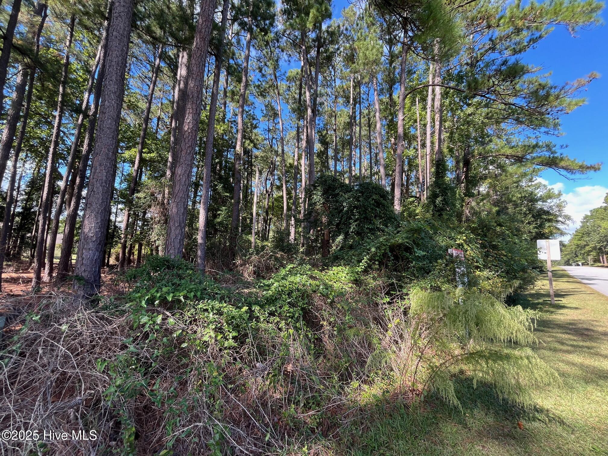 320 Hardison Drive,Minnesott Beach