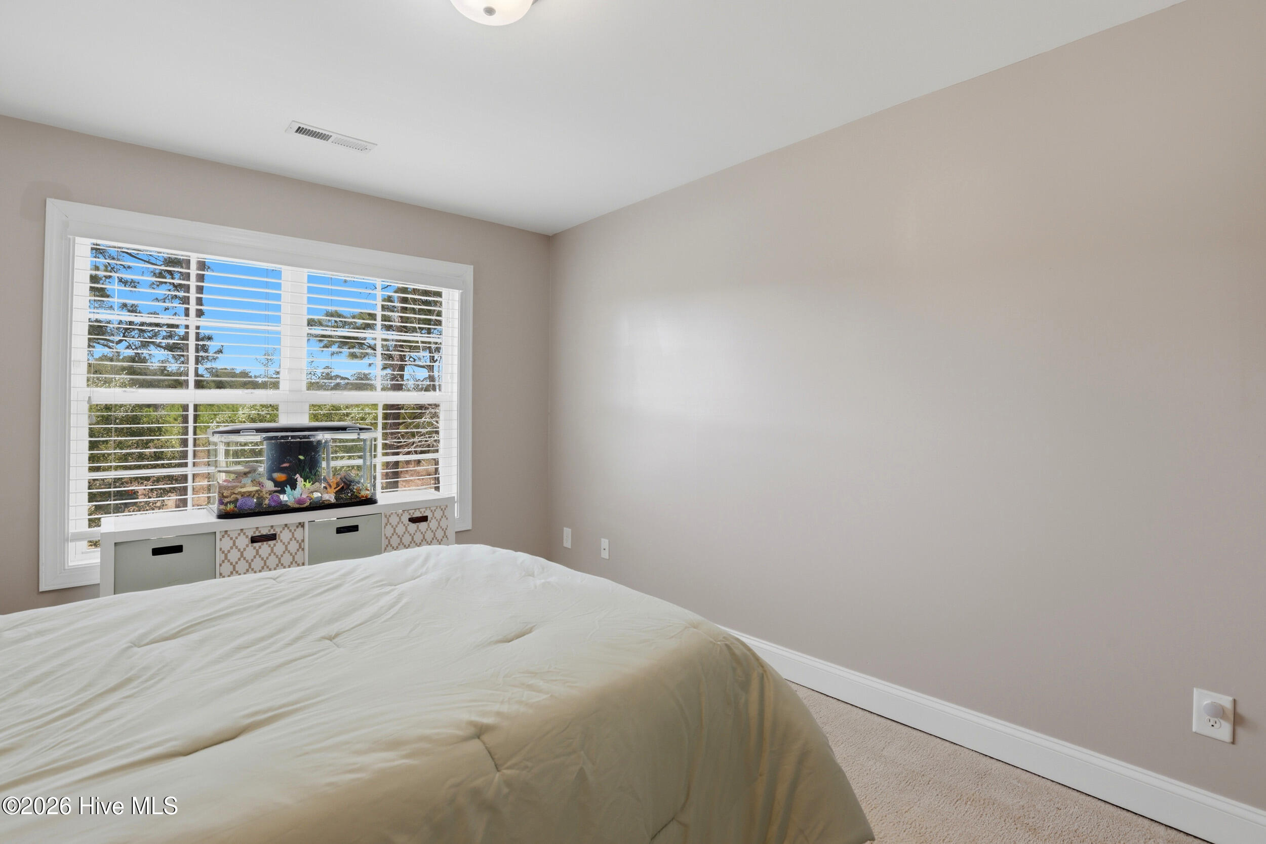 100561174 | Photo 32