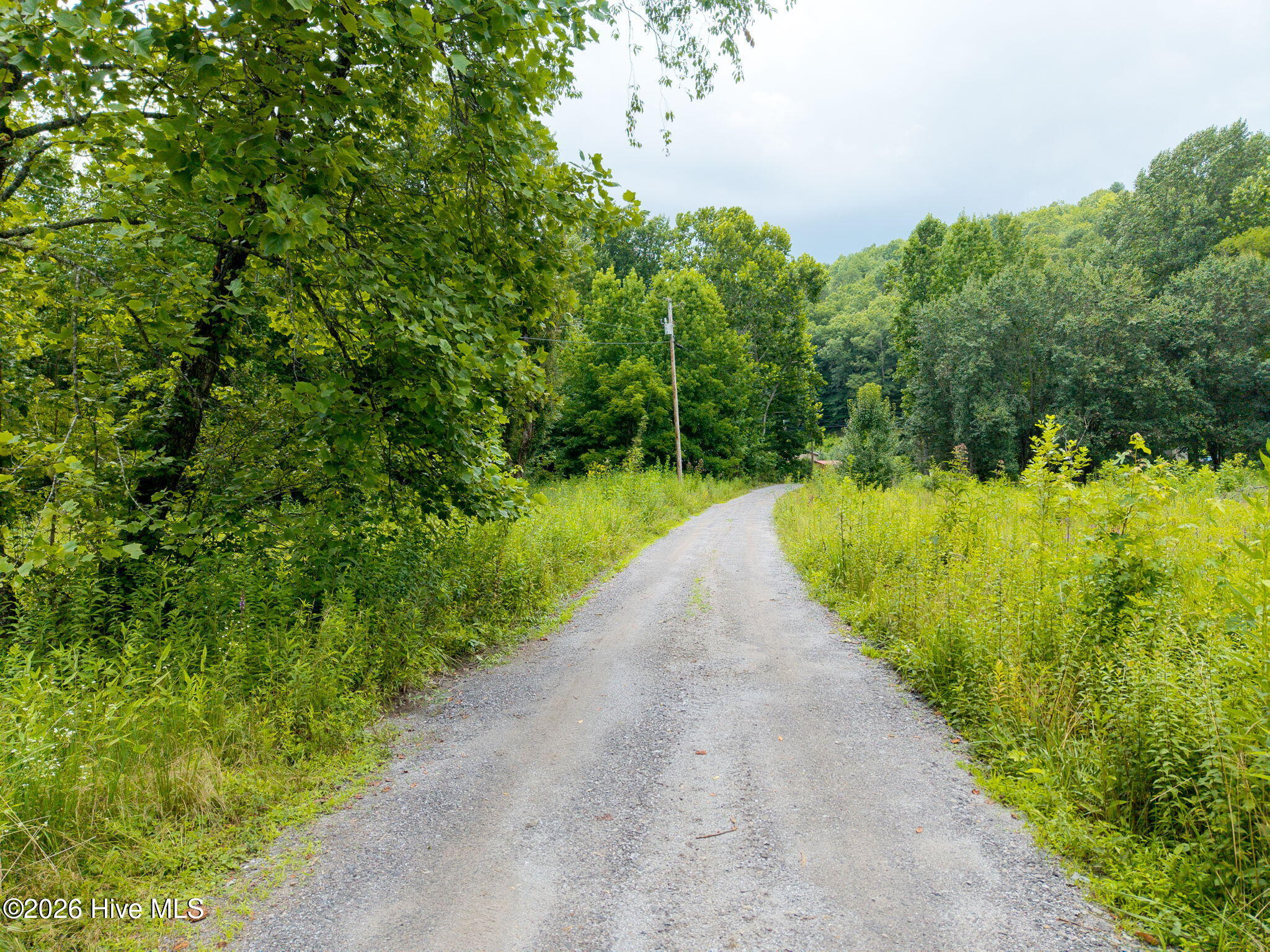 Exterior photo of Lots 9, 10, 11, 15 & 17 Mary Lane, Hayesville, NC 28904. MLS: 98543671