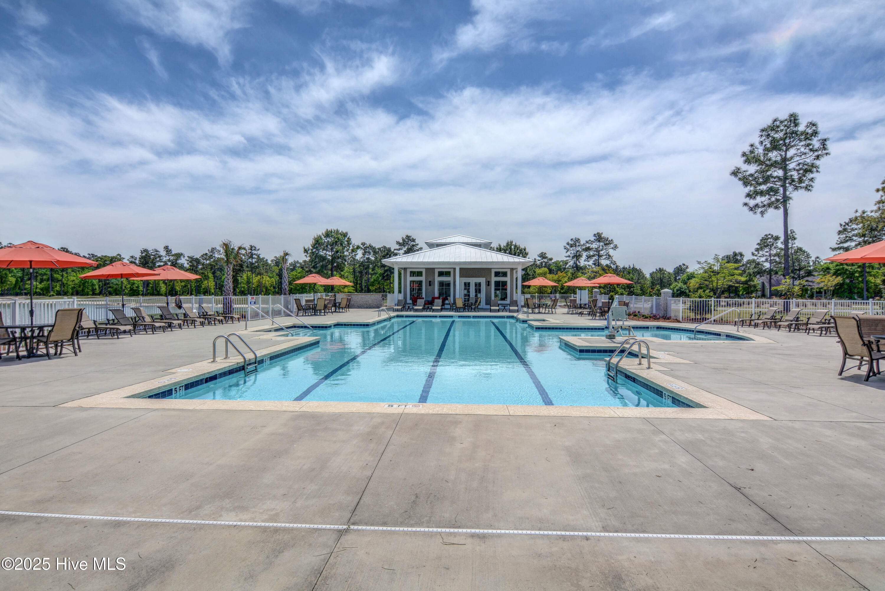 100531256 | Photo 40