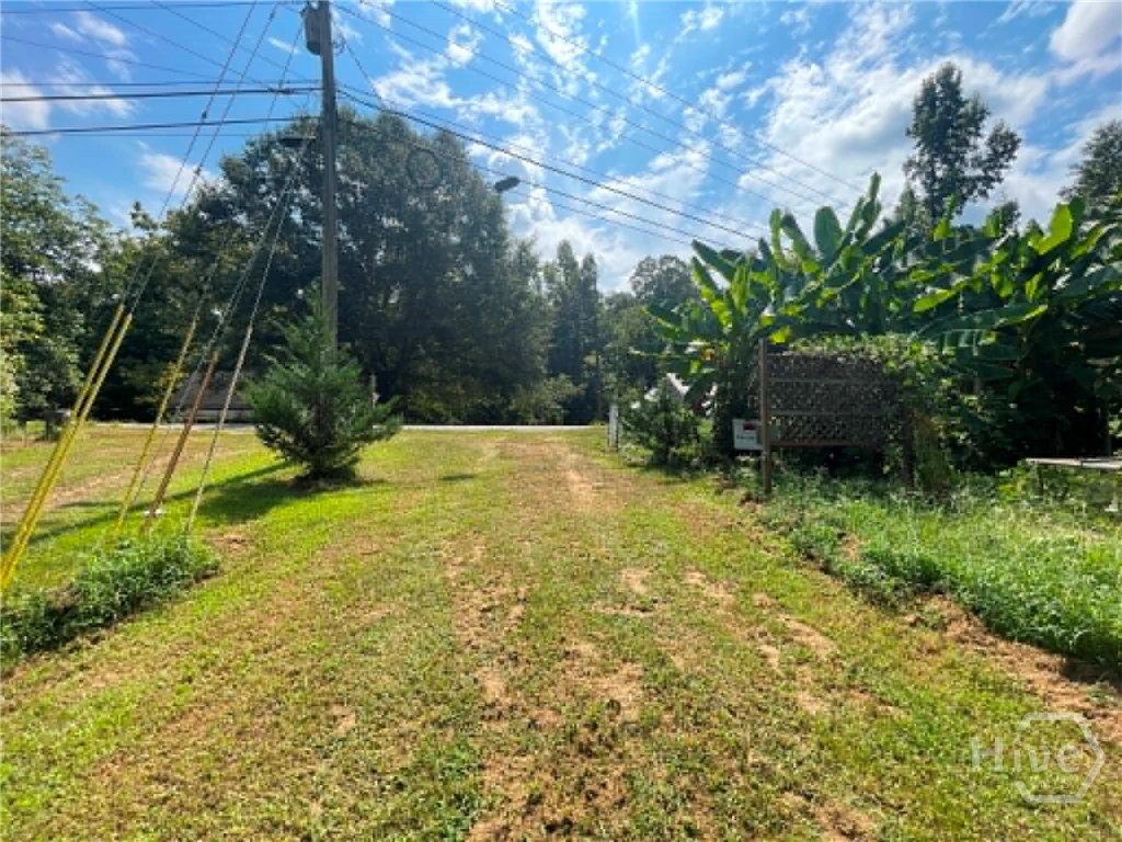 driveway out