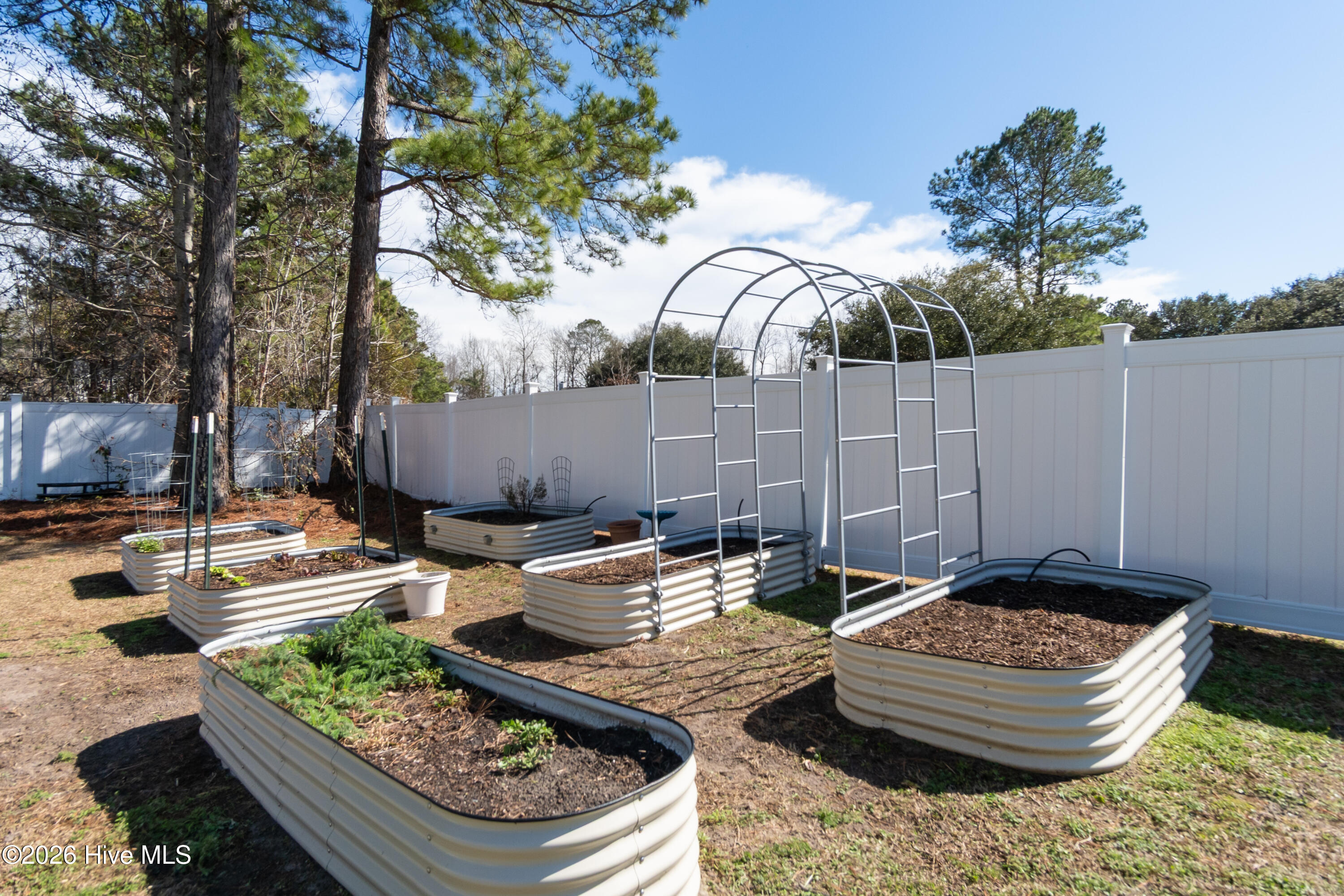 100558497 | Photo 54