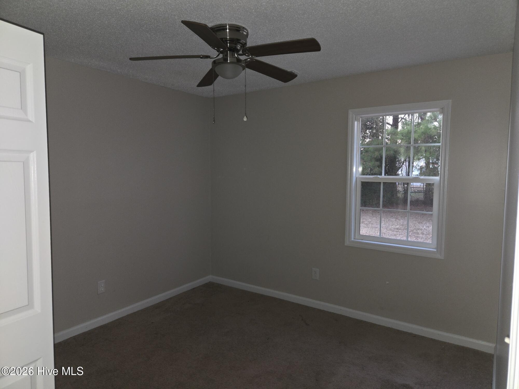 100553885 | Photo 12