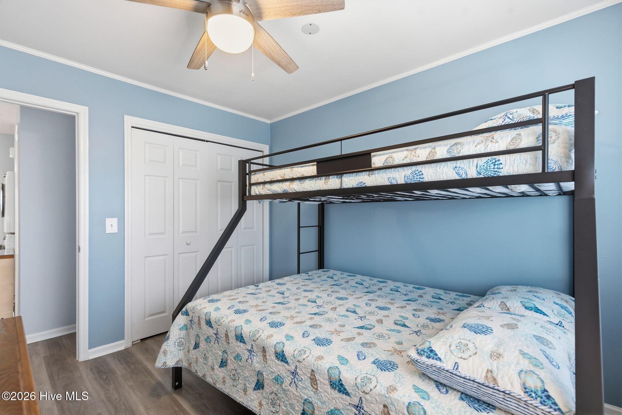 100553175 | Photo 35