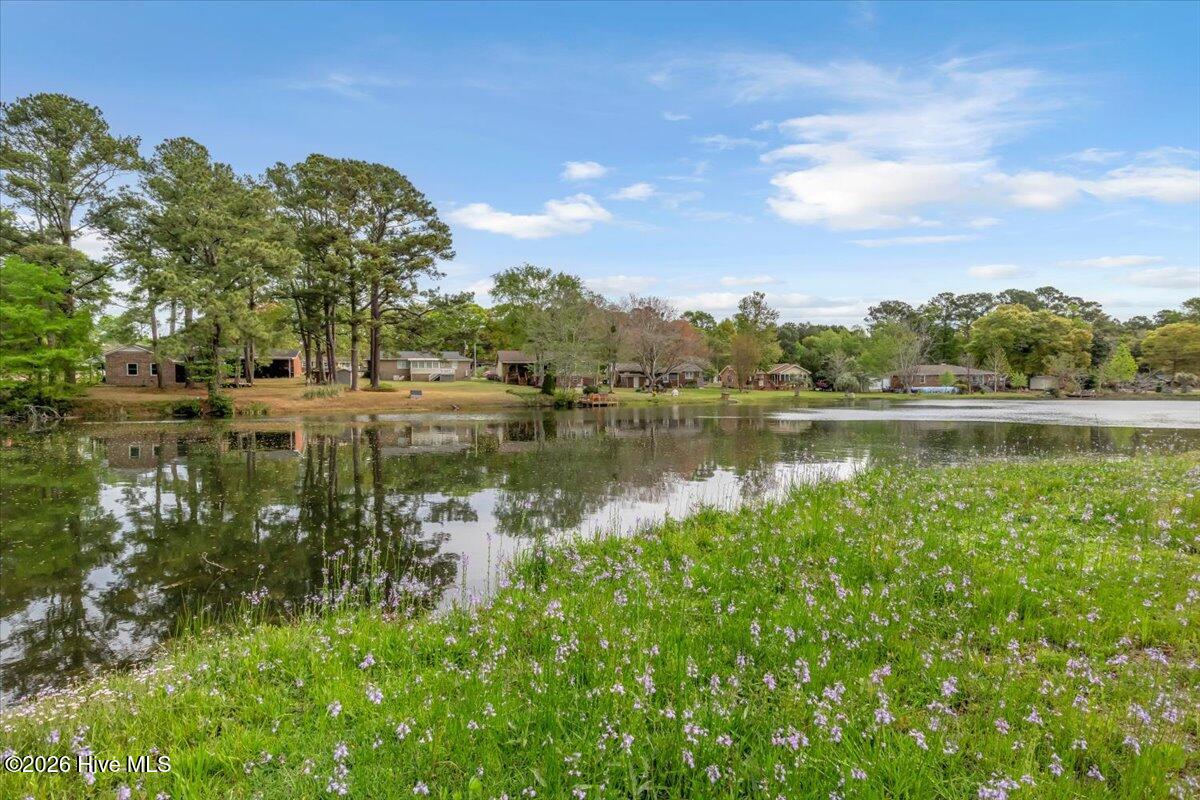 100566058 | Photo 56