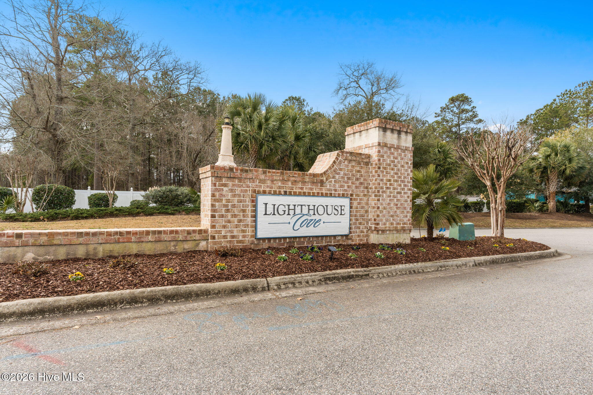 100553647 | Photo 42