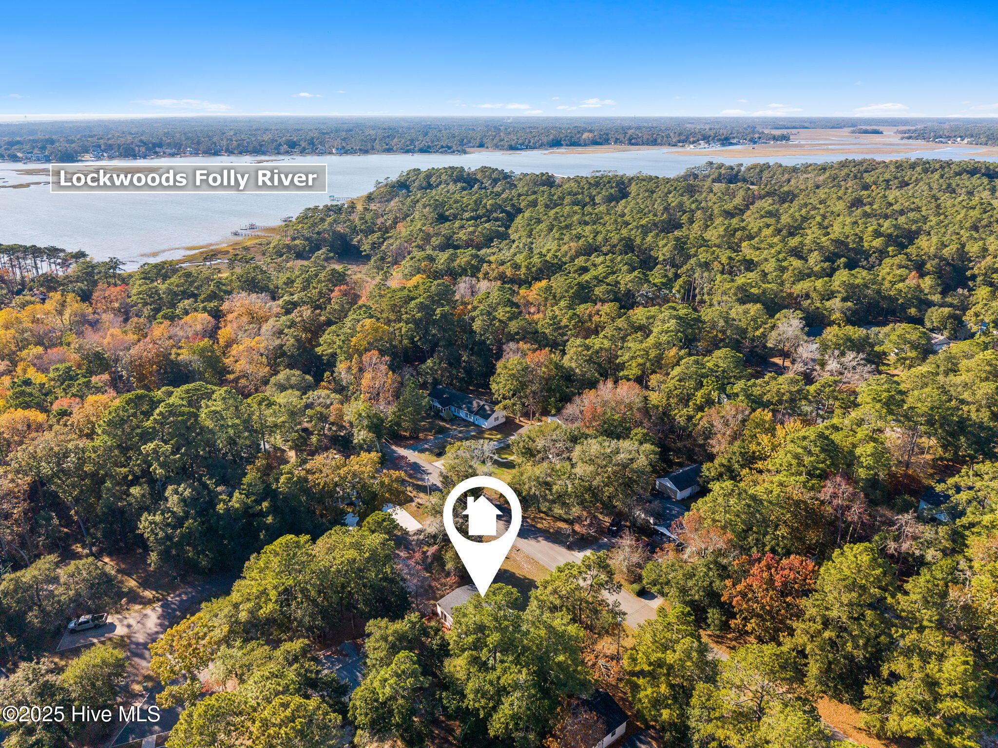 100541276 | Photo 39