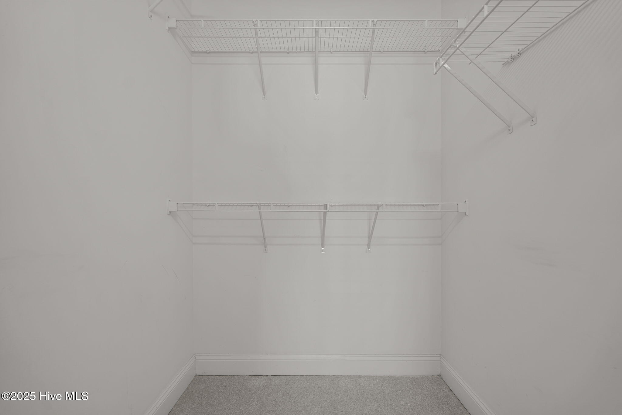 100559458 | Photo 26