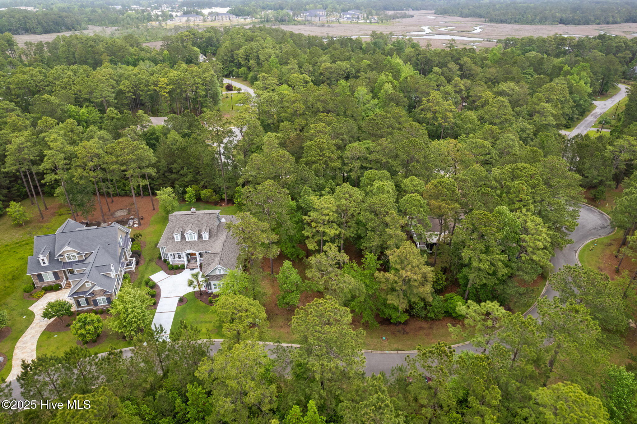 100507516 | Photo 29