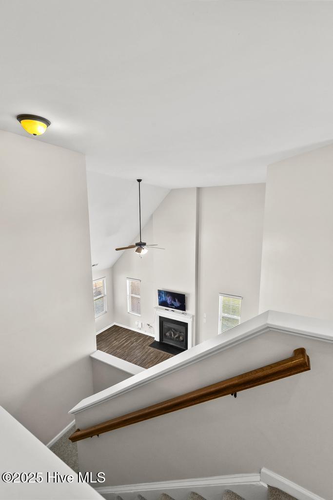 100536602 | Photo 36