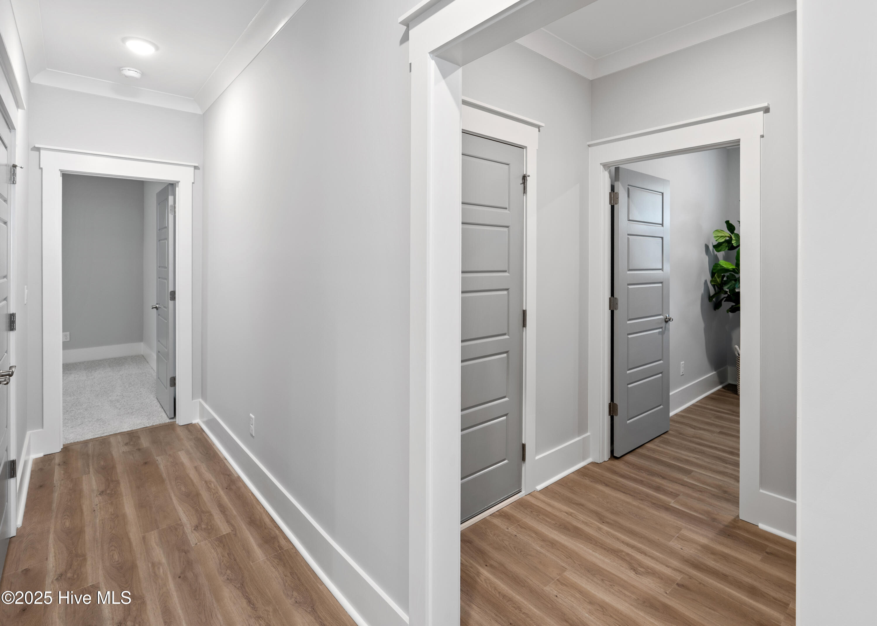 100524919 | Photo 38