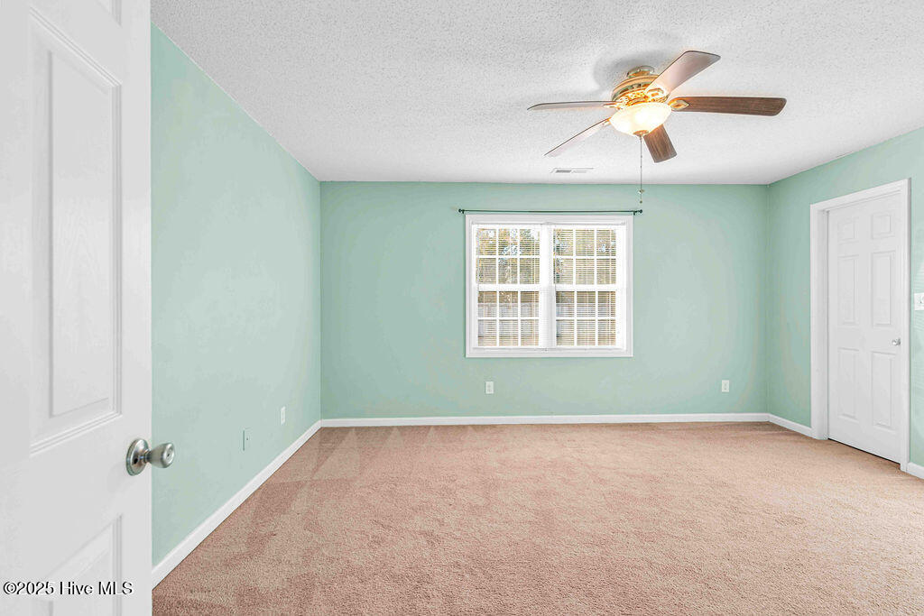 100546156 | Photo 18