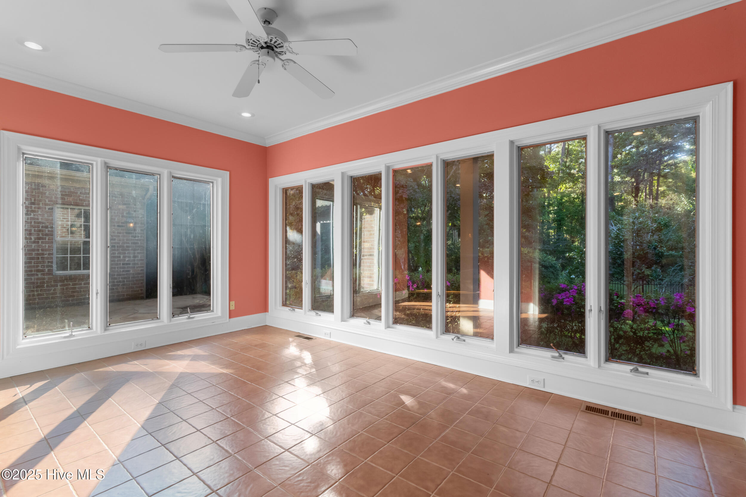 100516126 | Photo 30